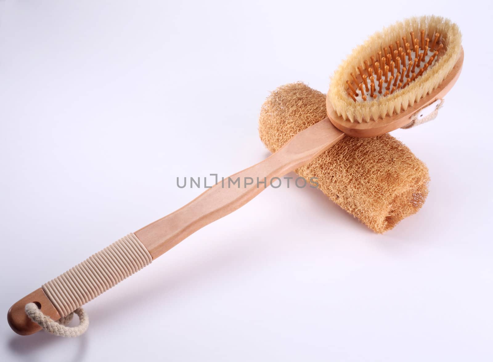 brush resting on the loofah on the white background
