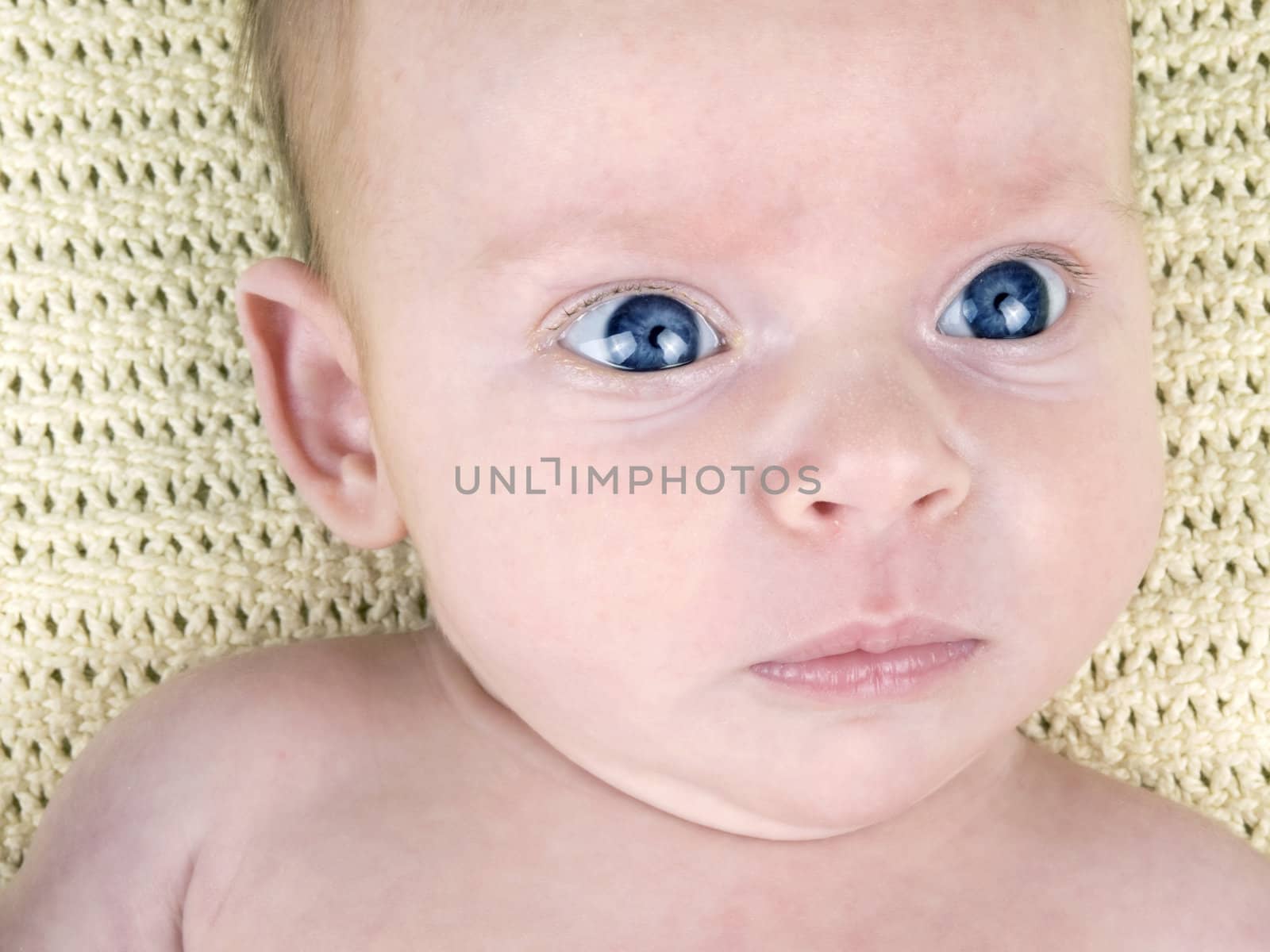 Closeup picture of newborn baby face with big blue eyes