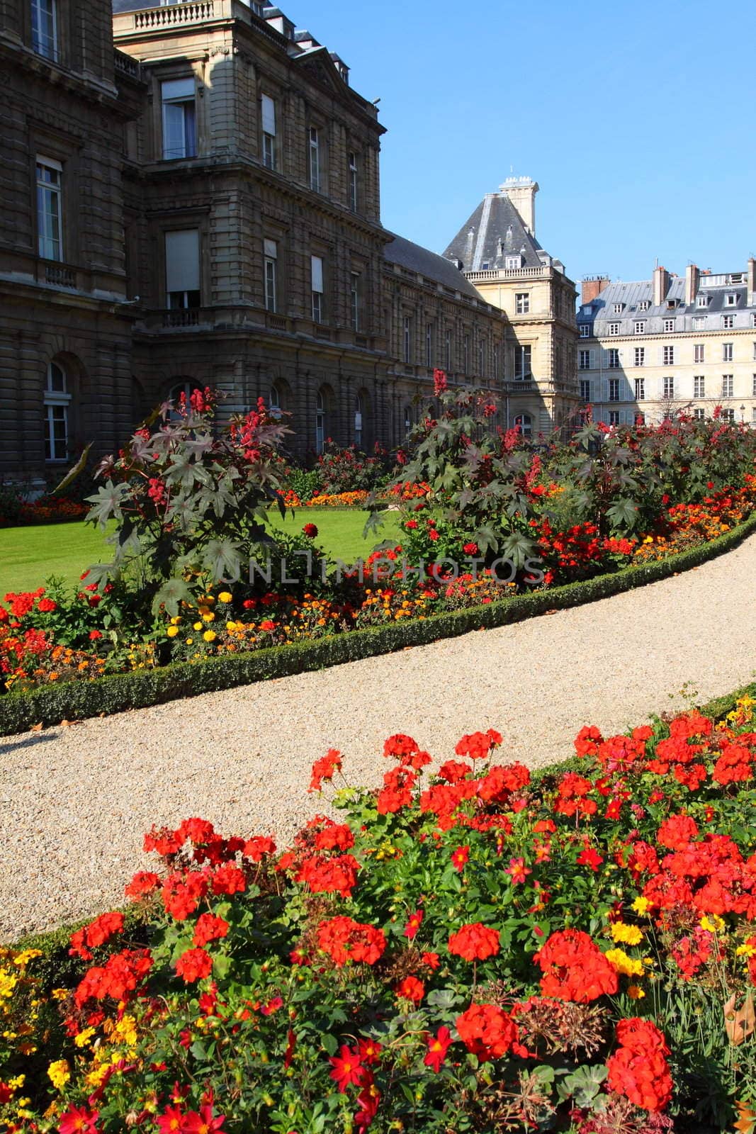 Luxemburg Palace in Paris by mariusz_prusaczyk