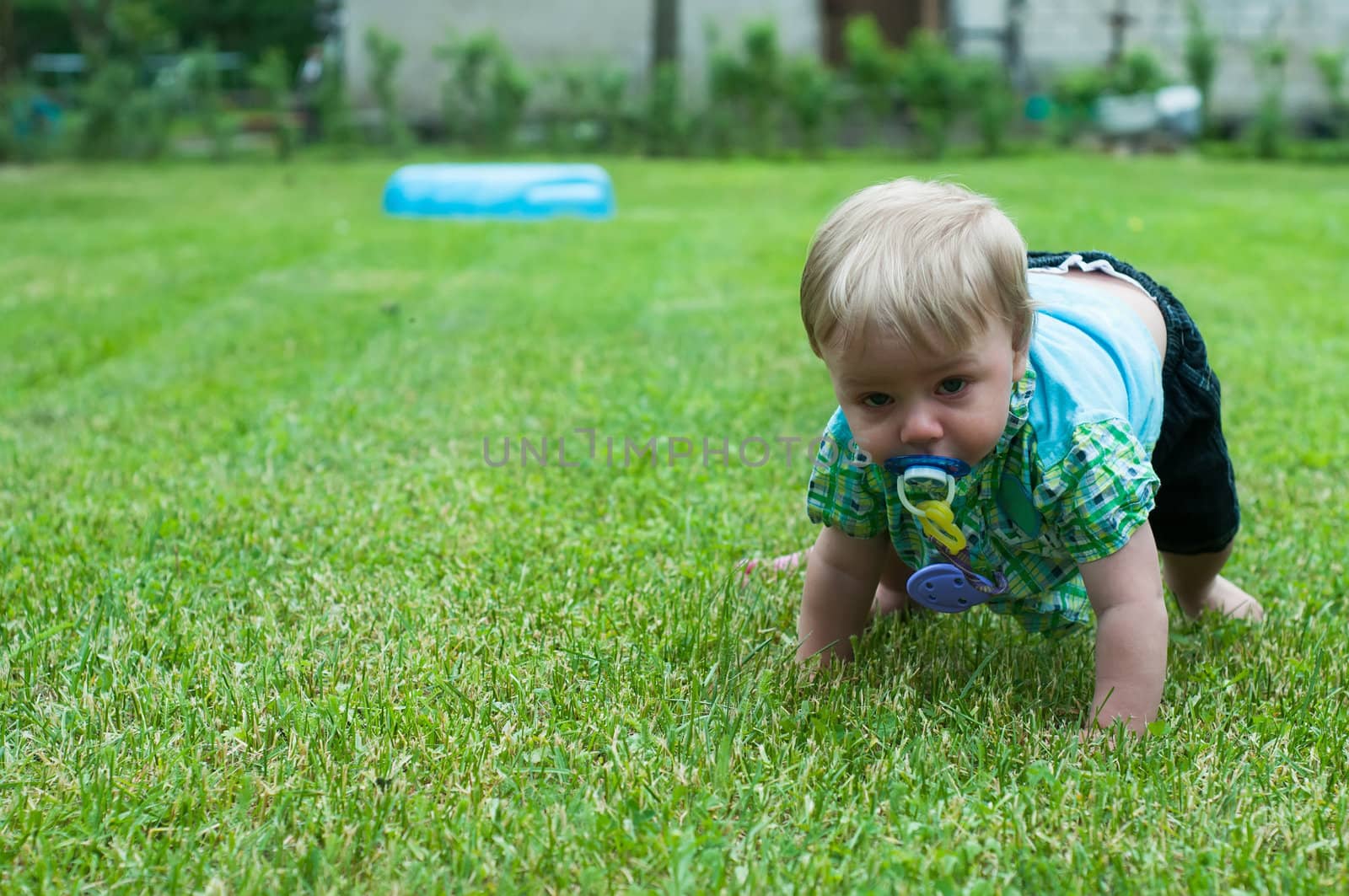 Shot of crawling baby boy on the green grass