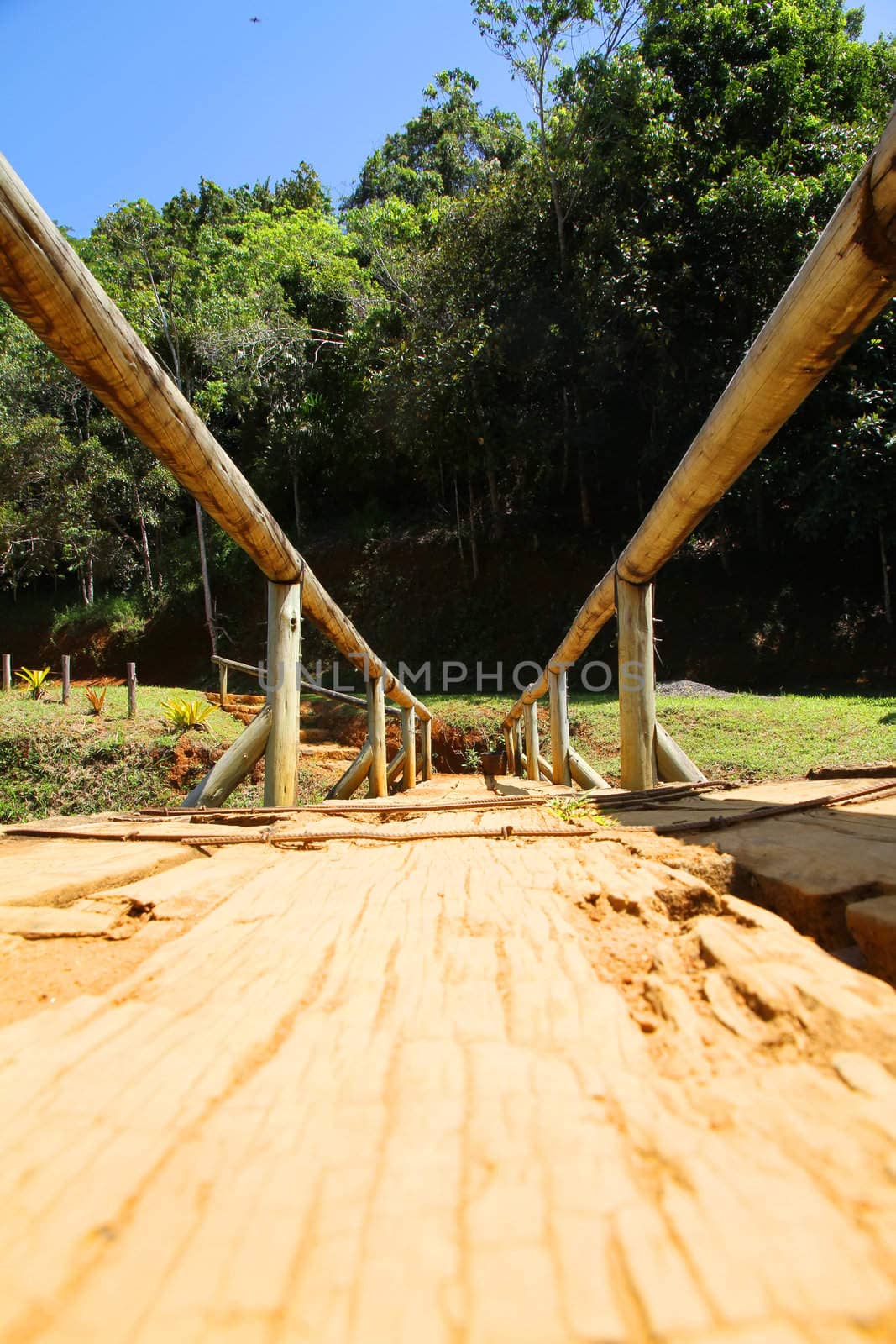 Bridge over a River in Bahia by Spectral