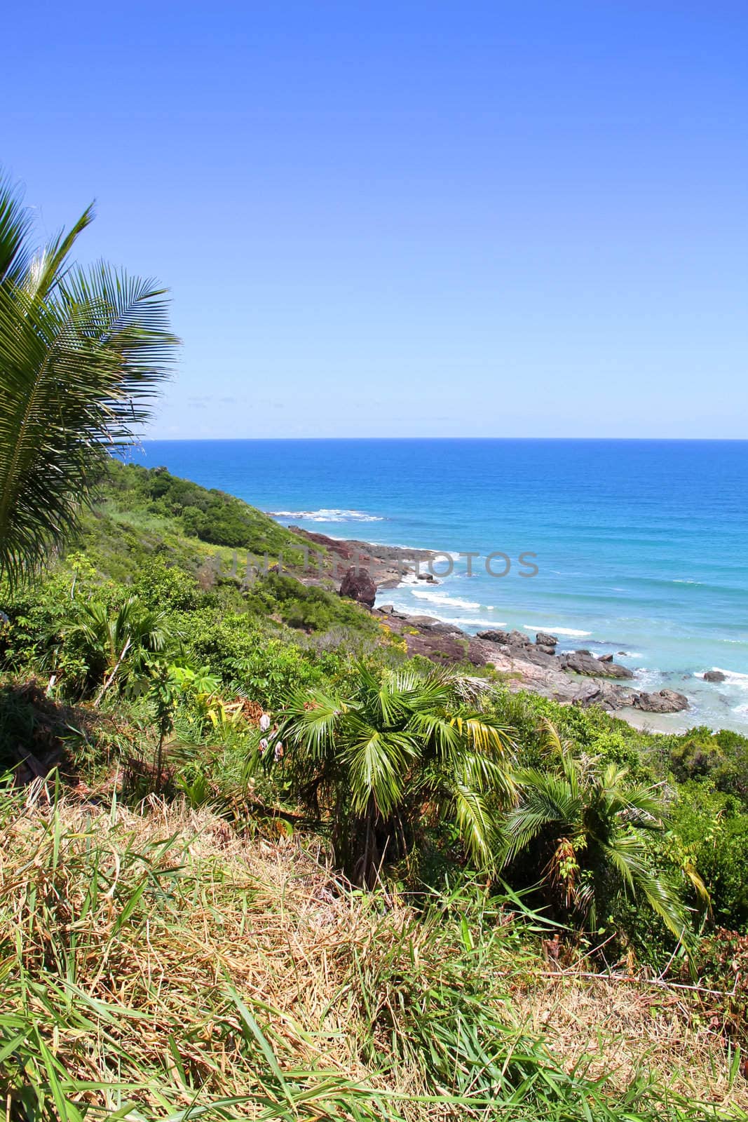 The coast of Bahia, Brazil, near Serra Grande.