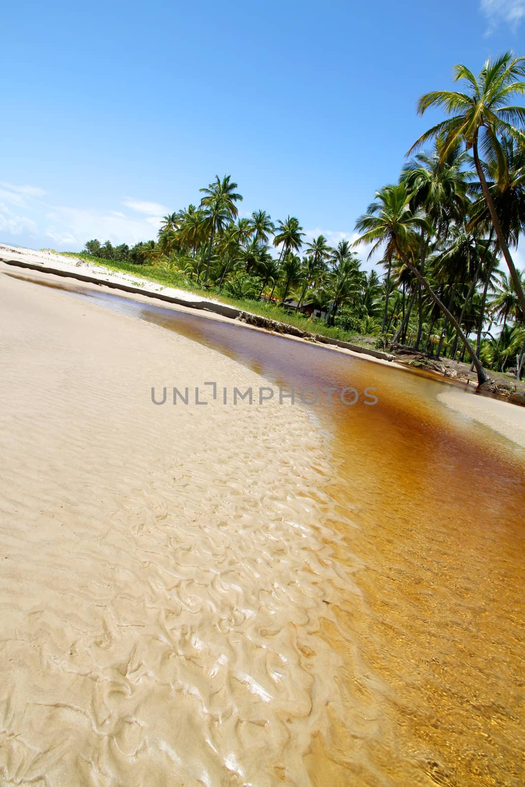 Beach of Bahia by Spectral