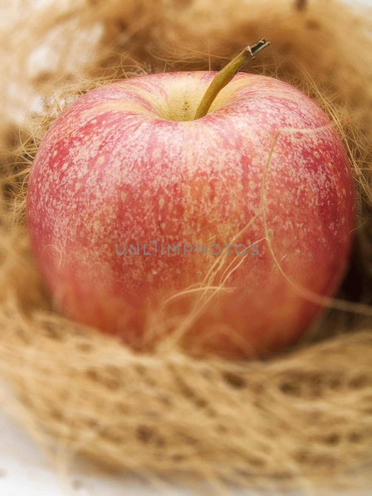 Fresh red apple in a kitchen