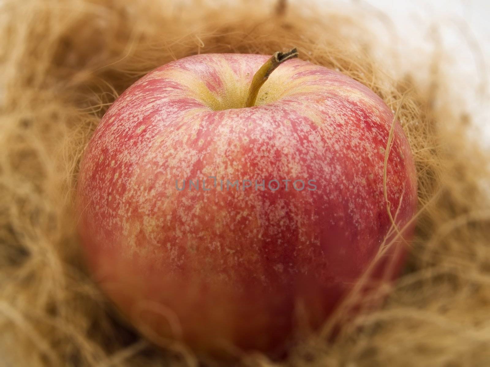 Red apple in a kitchen