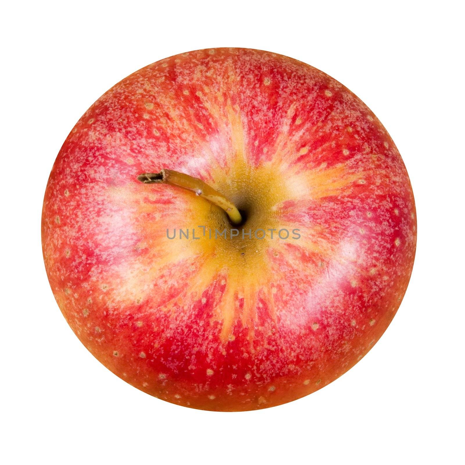 Red apple isolated on a white background