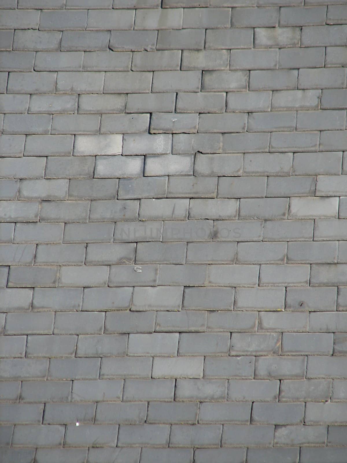 Slate Tiles on a Roof, usable as background