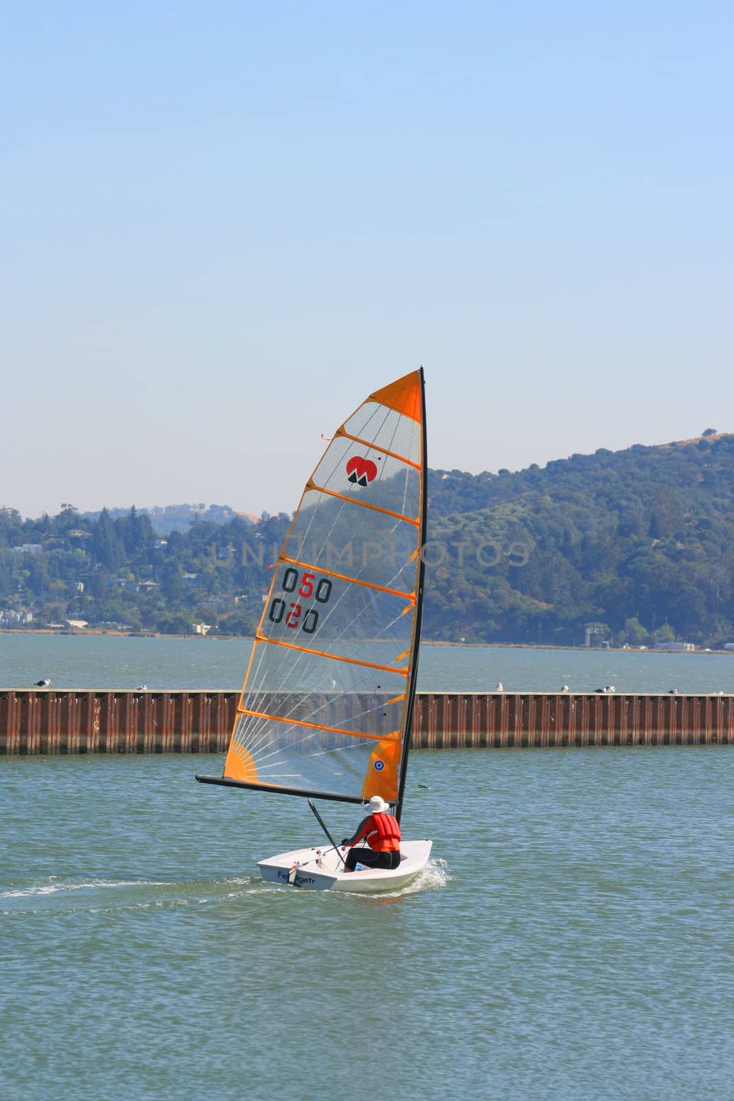 Sailor on a small boat sailing away.
