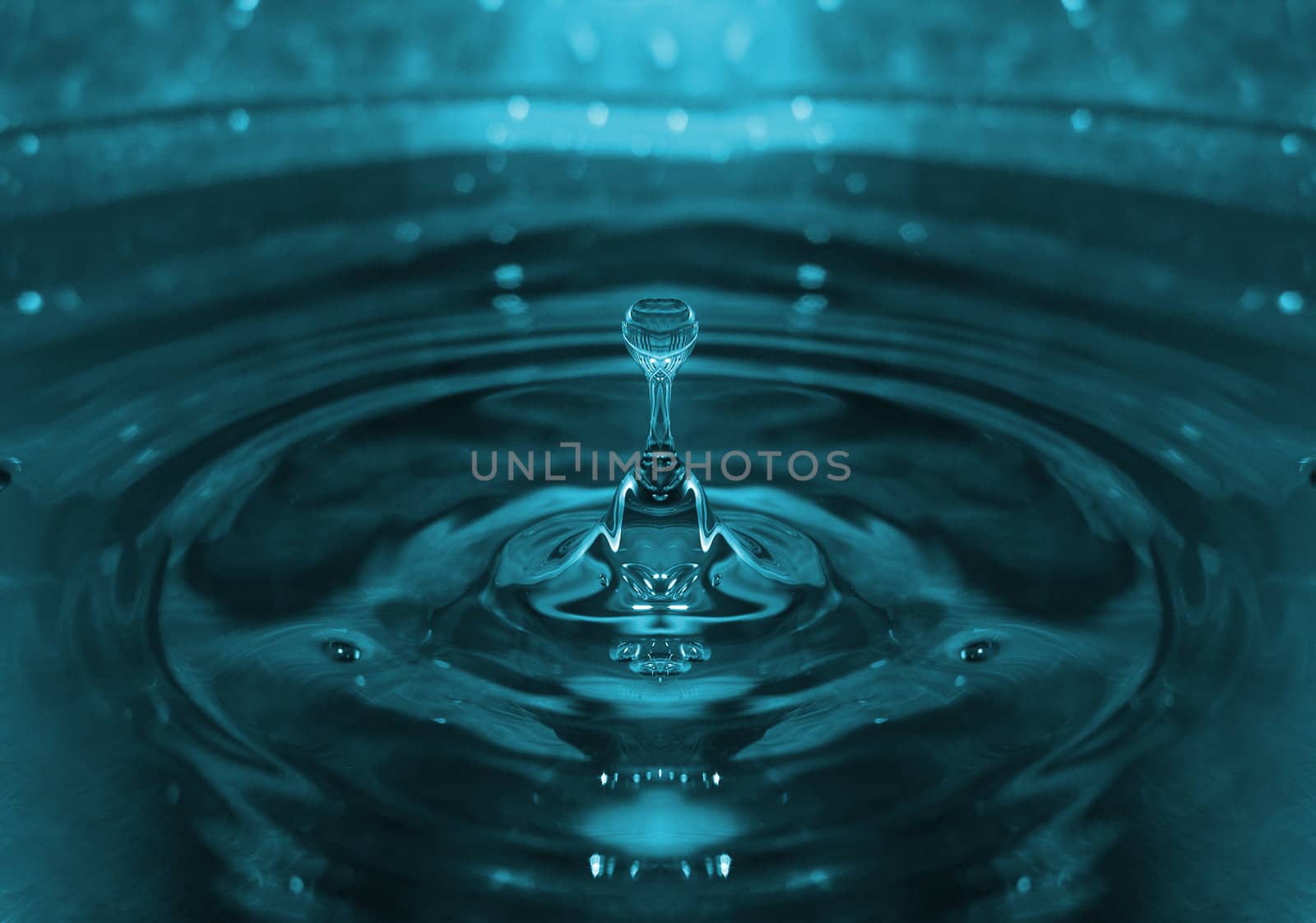 close shot of water drops 