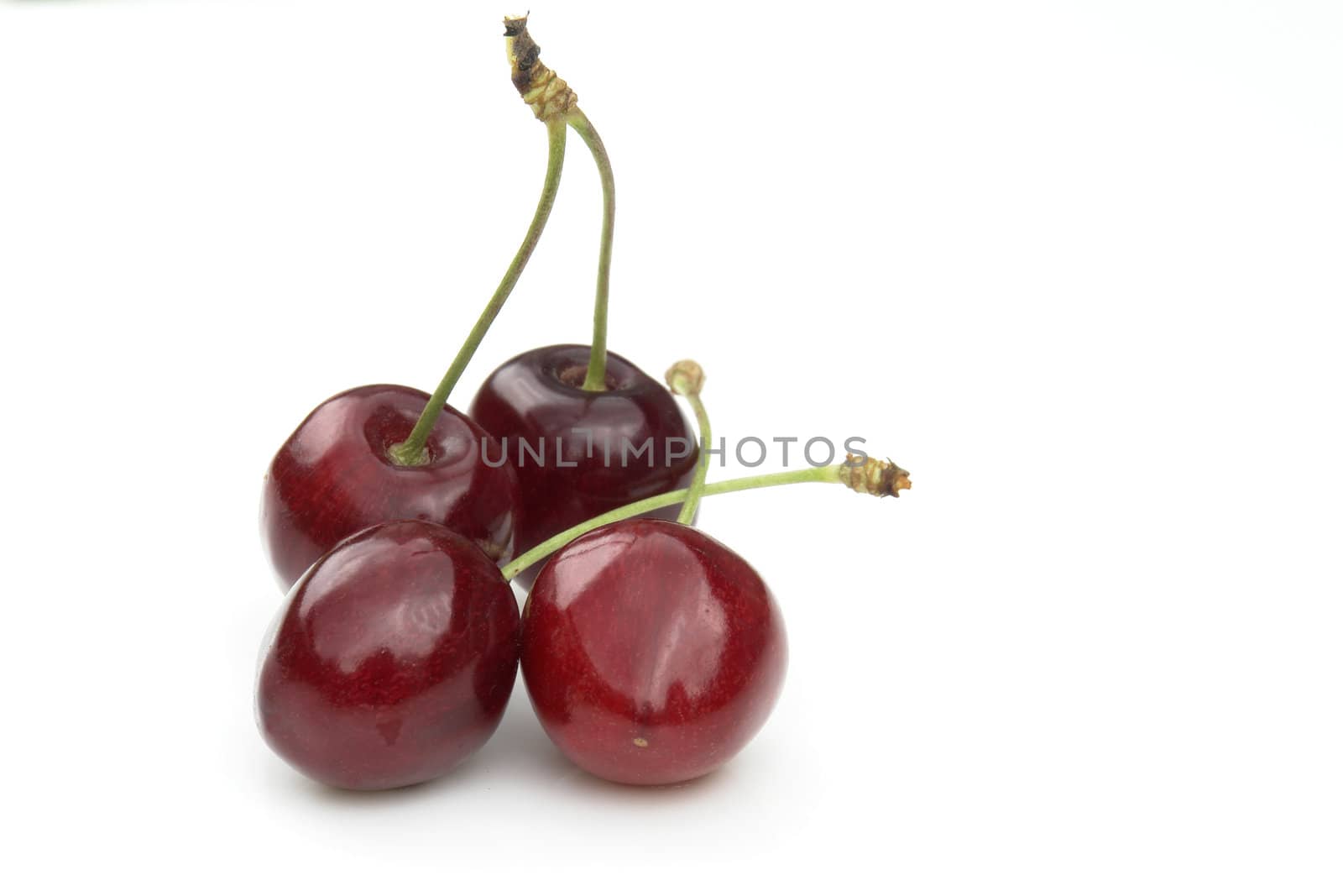 red cherries on the white background