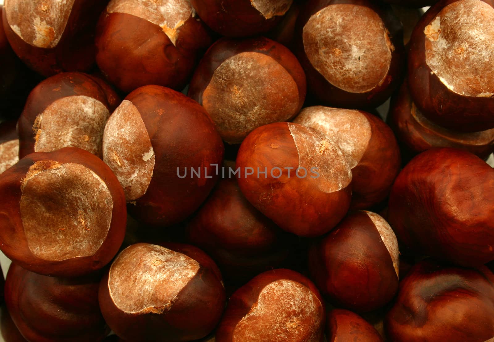 a texture of chestnuts from above