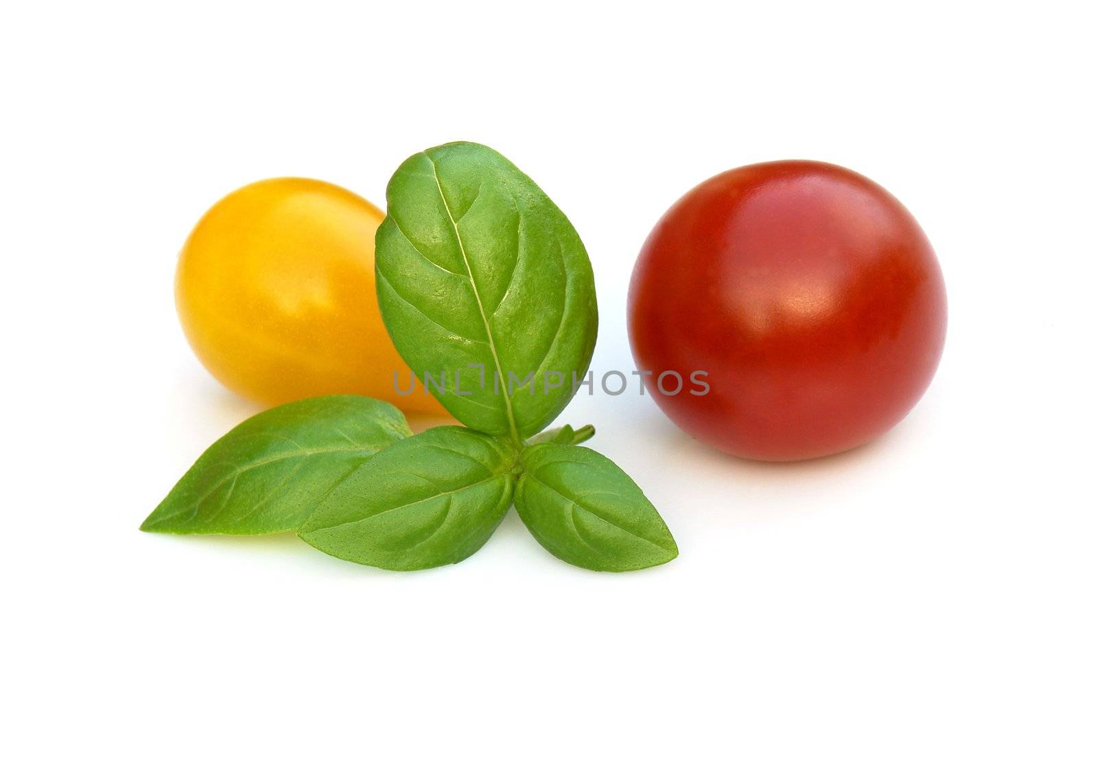 the basil and tomatoes on the white background 