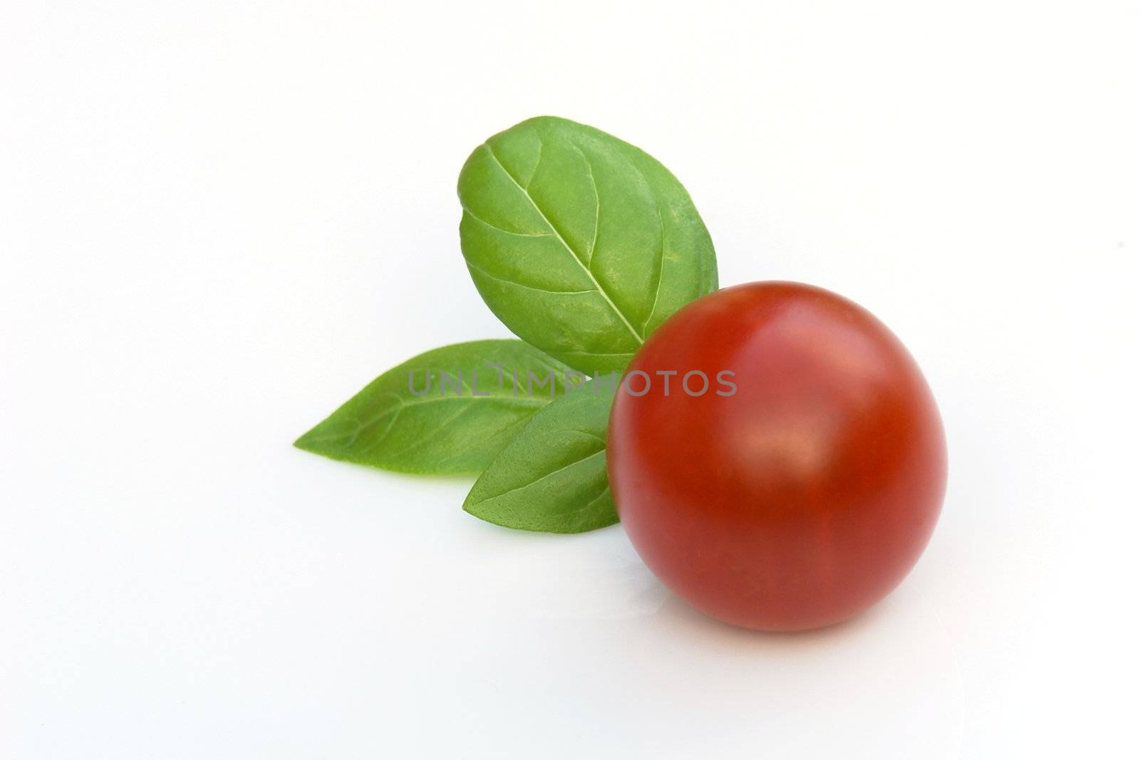 the basil and tomatoes on the white background 