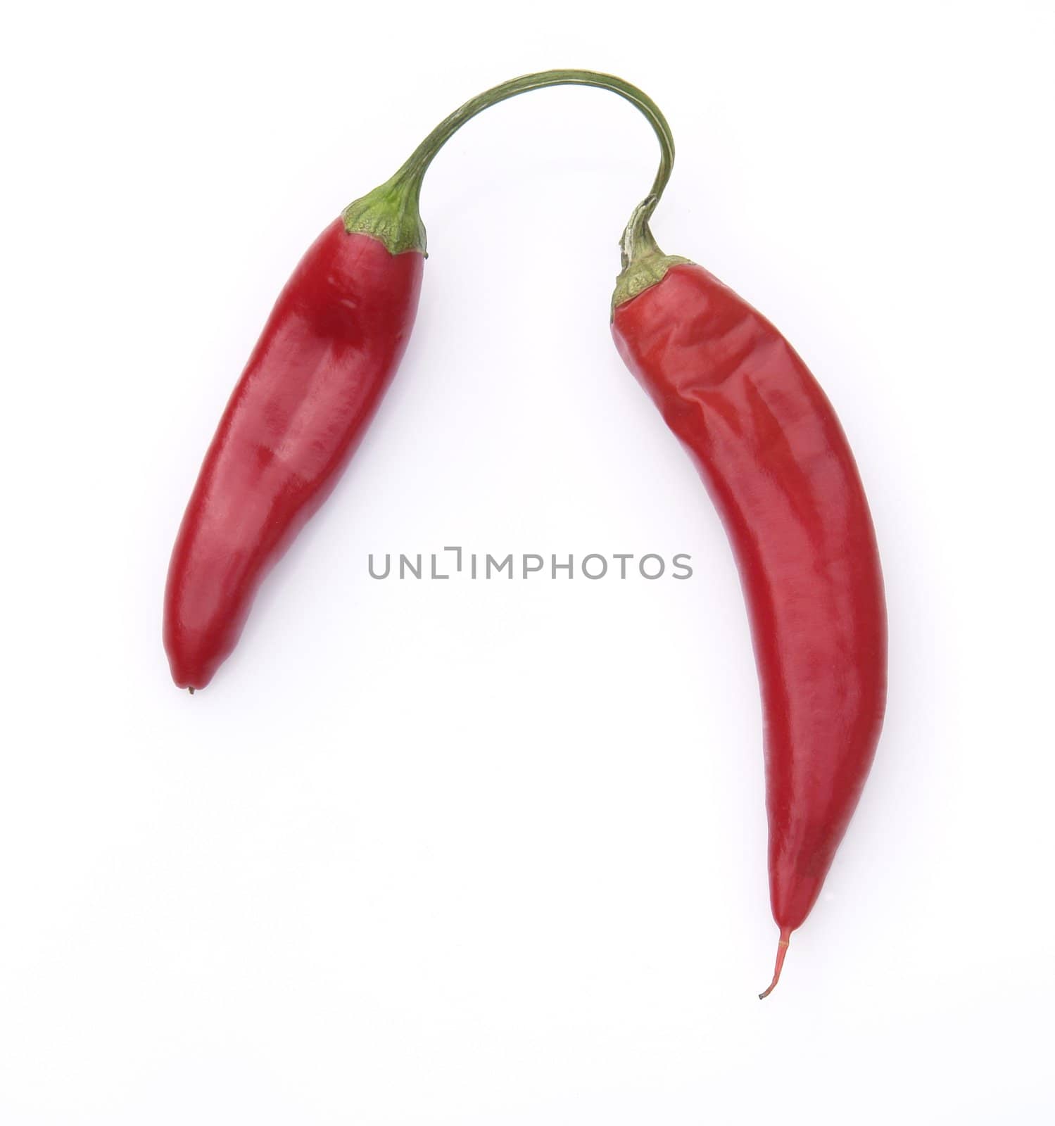 hot pepper on the white background 