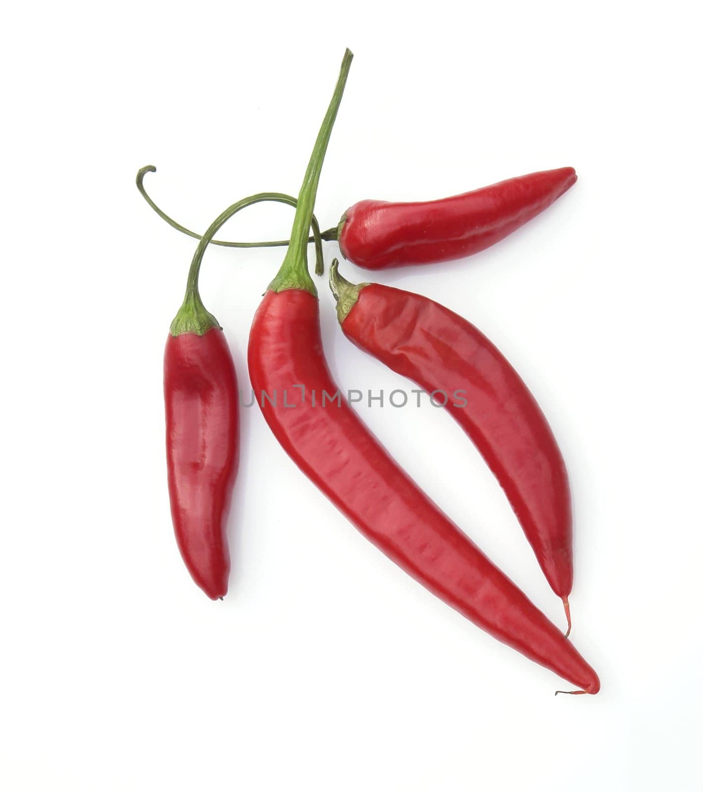 hot pepper on the white background 