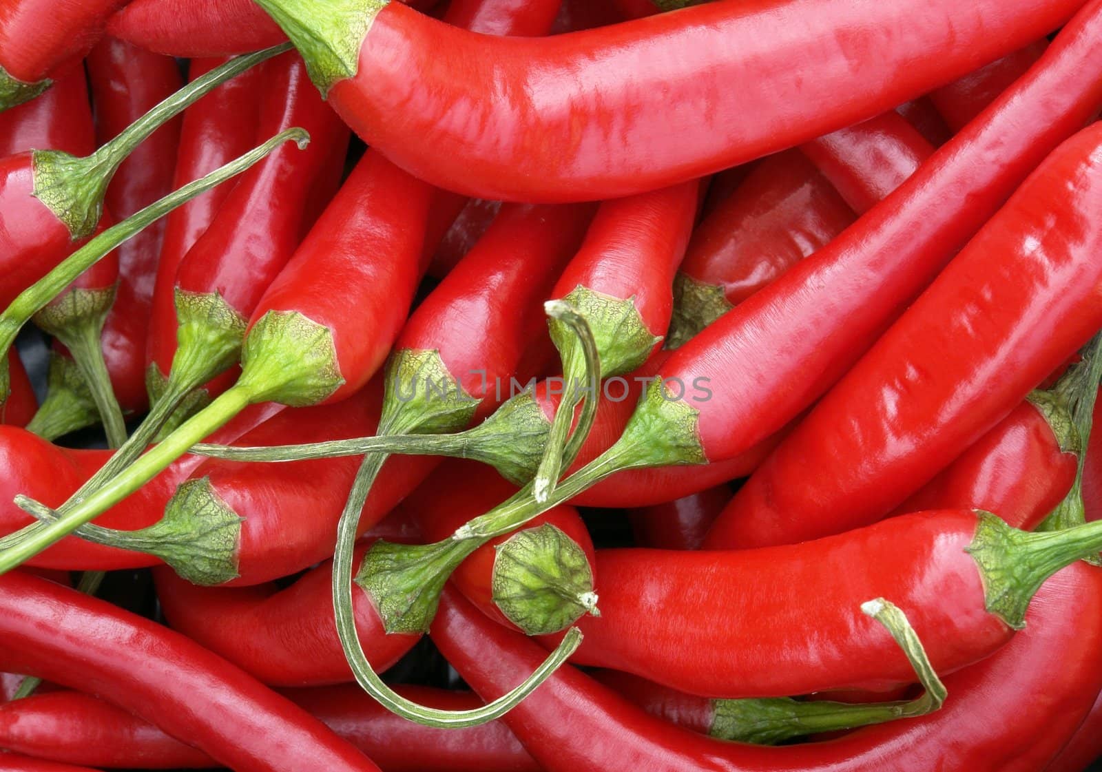 hot pepper on the white background 