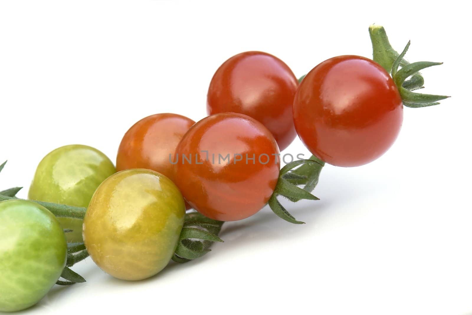 tomatoes on the white background 