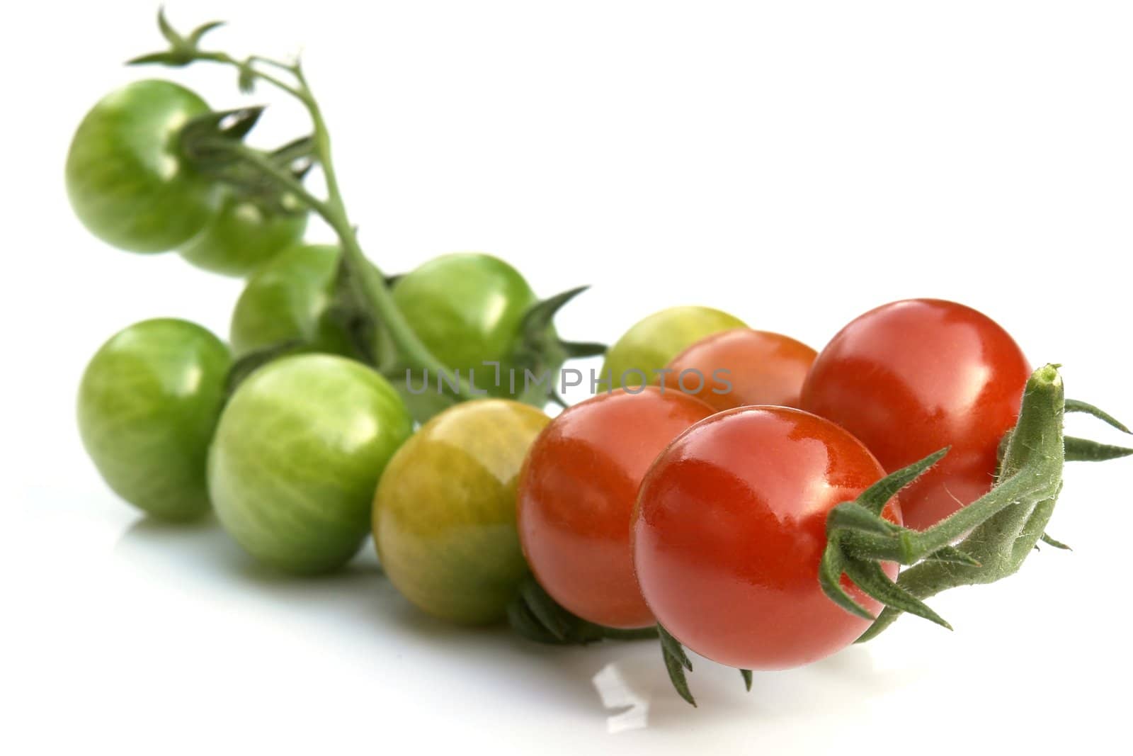 tomatoes on the white background 