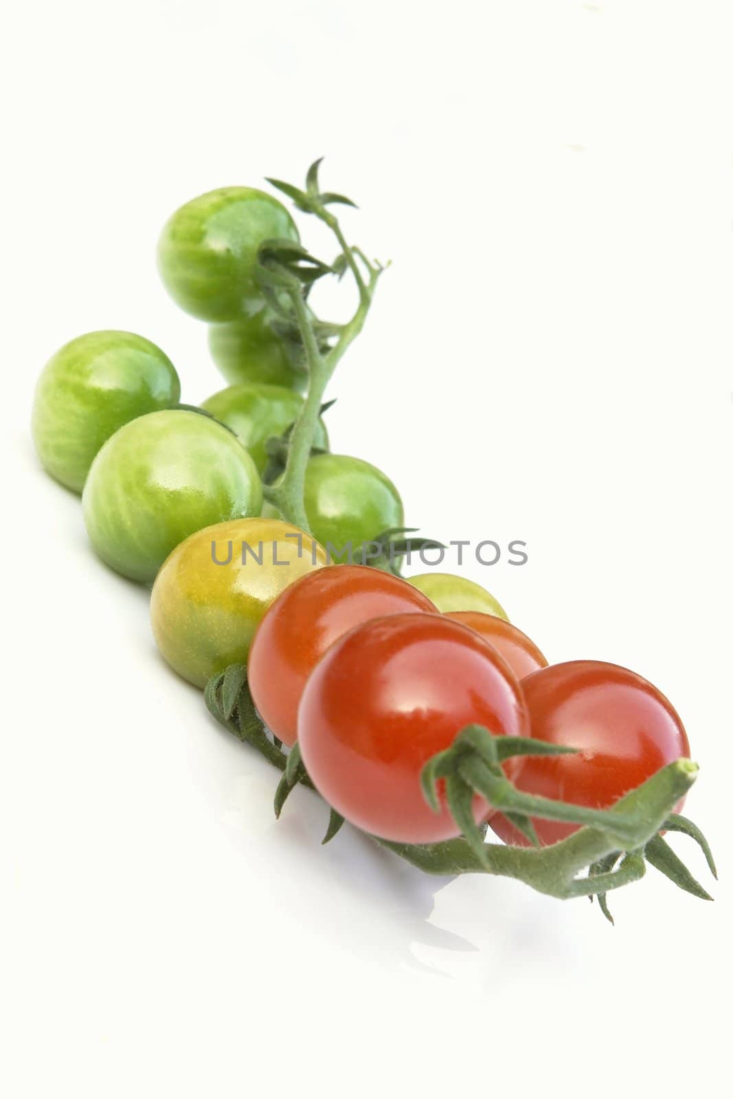 tomatoes on the white background 