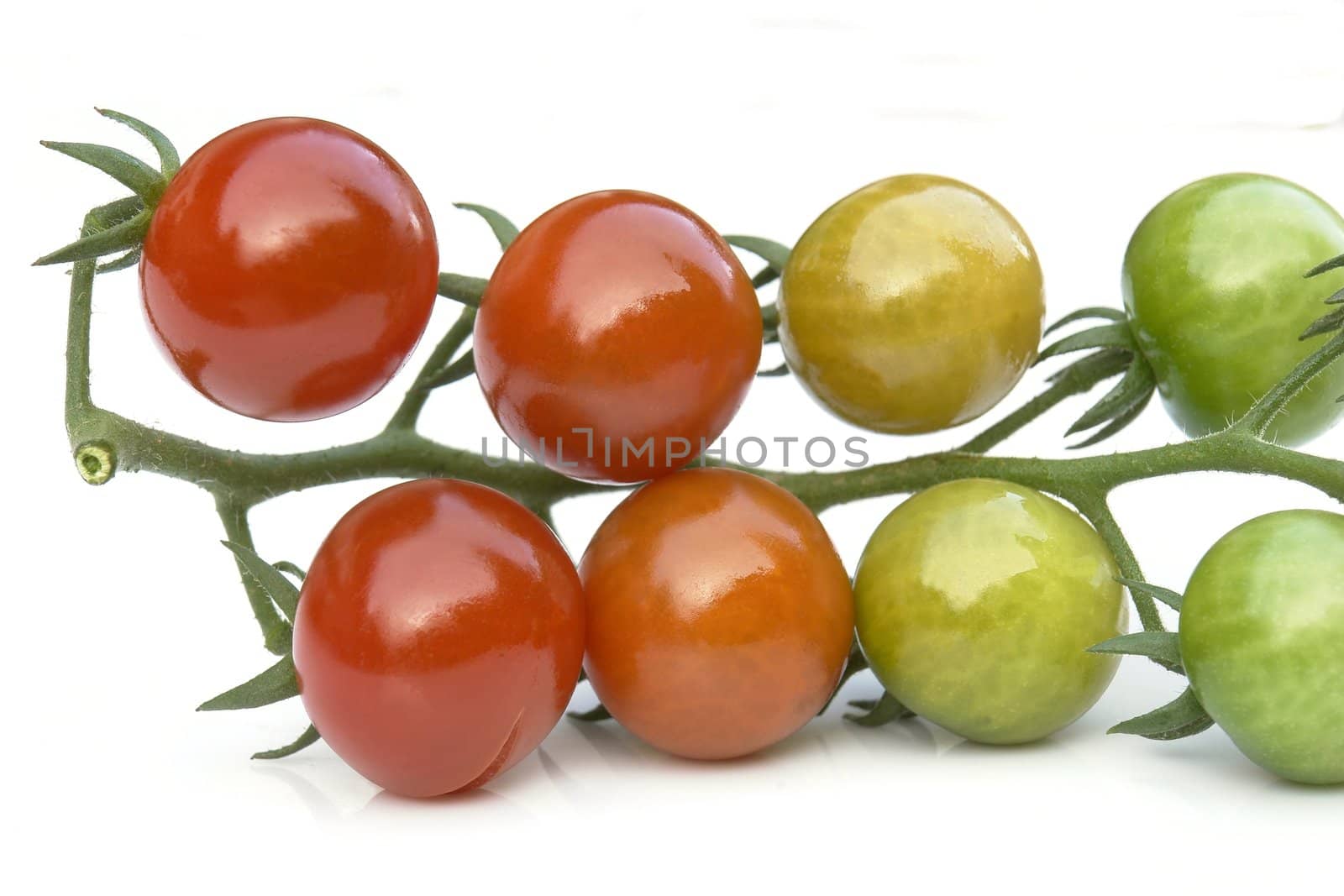tomatoes on the white background 