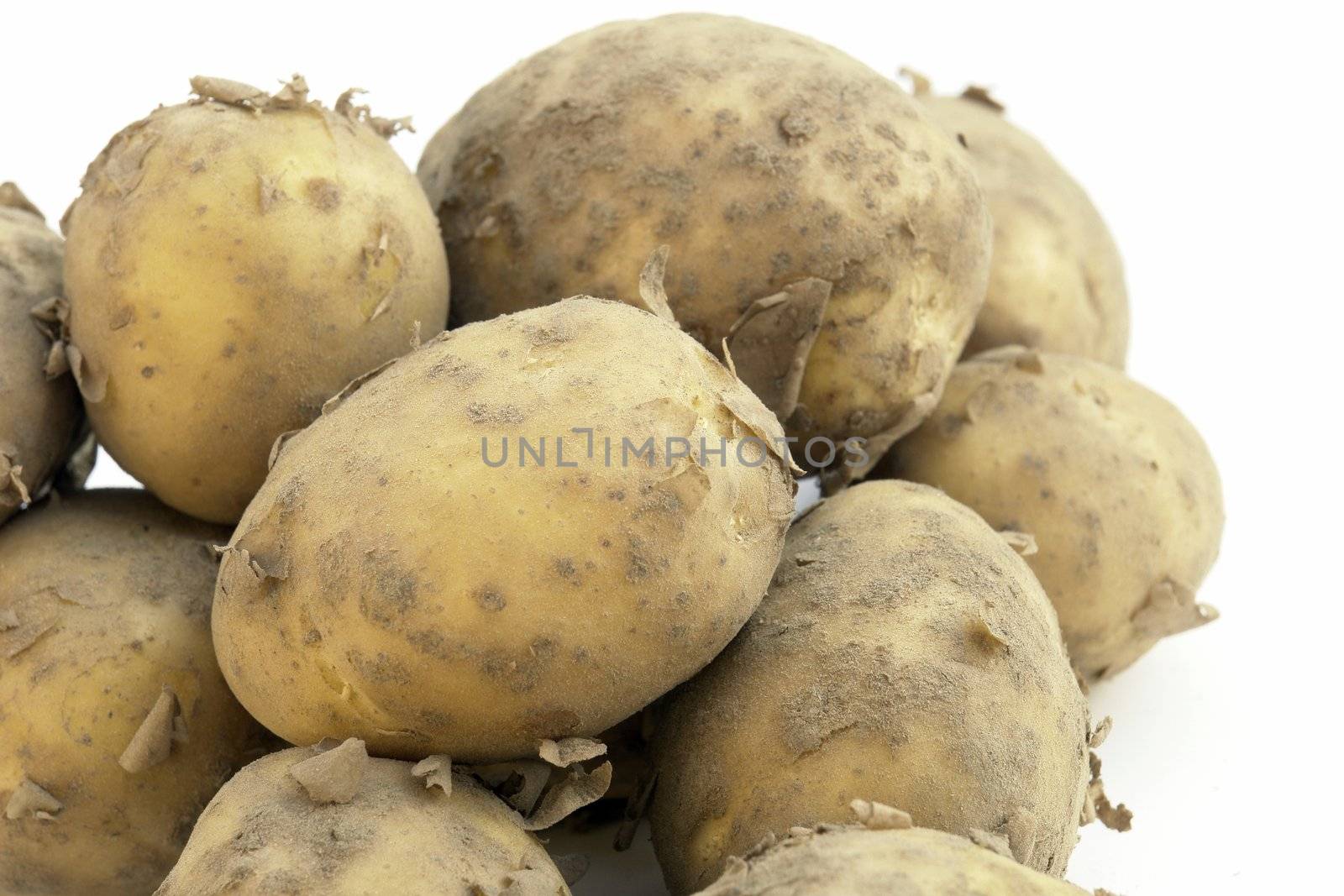 potatoes on the white background 