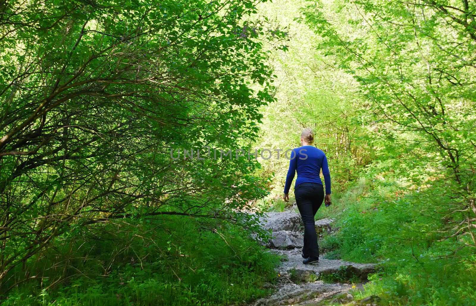 a woman is walking through the forest on a sunny day