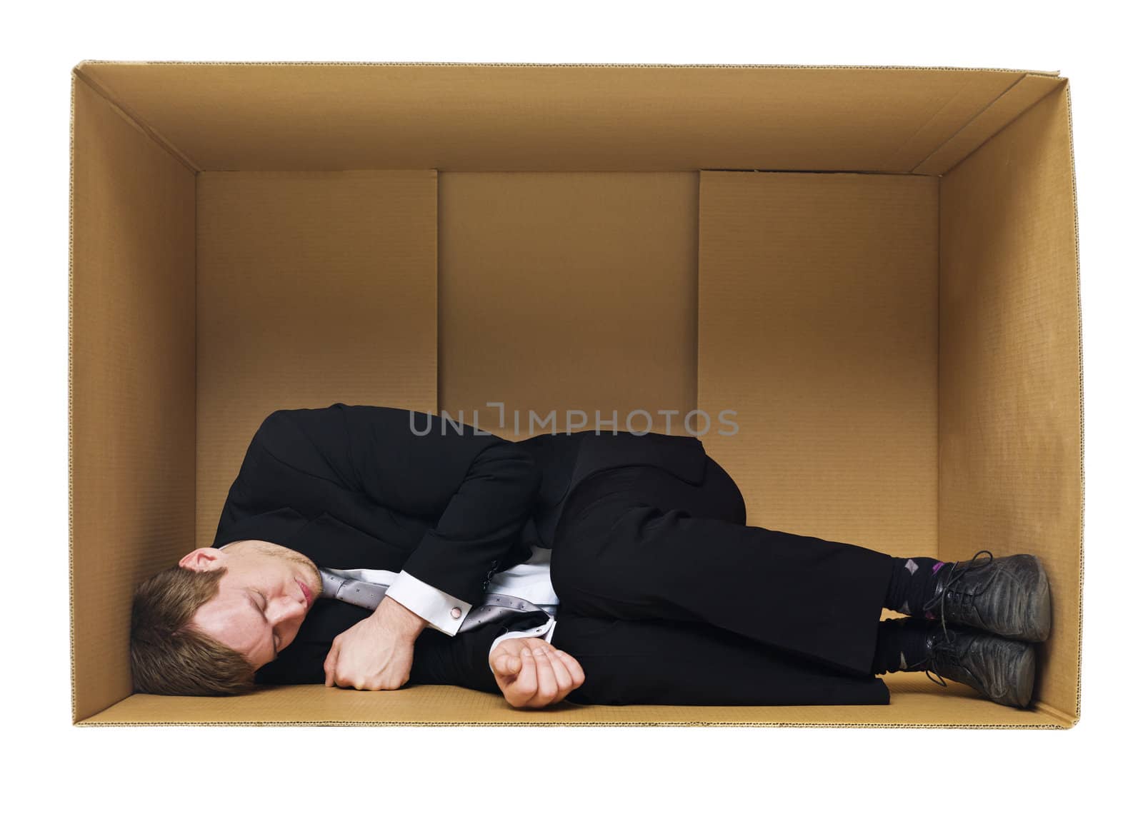 Sleeping in a cardboard box by gemenacom