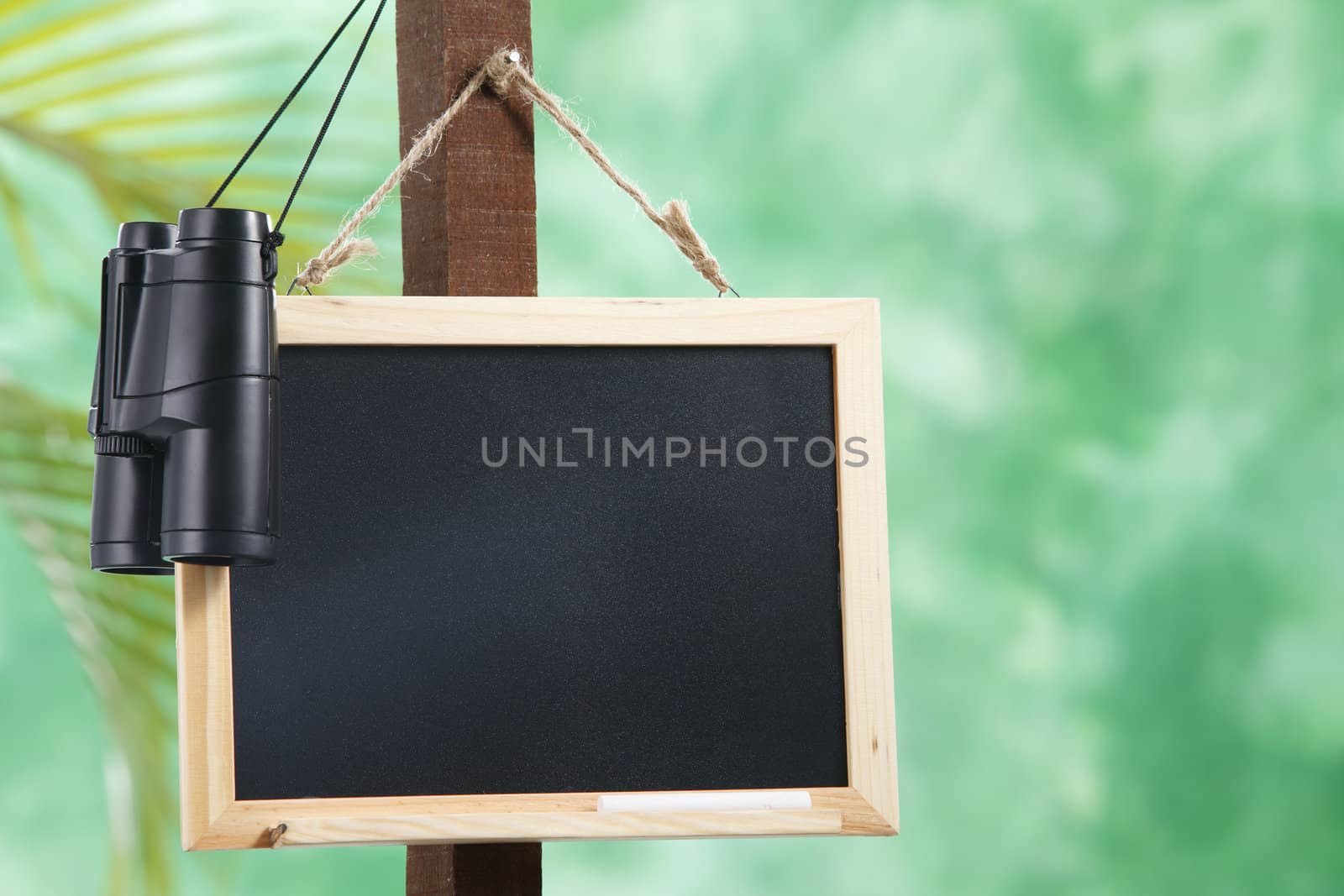stock image of the black board and the binocular