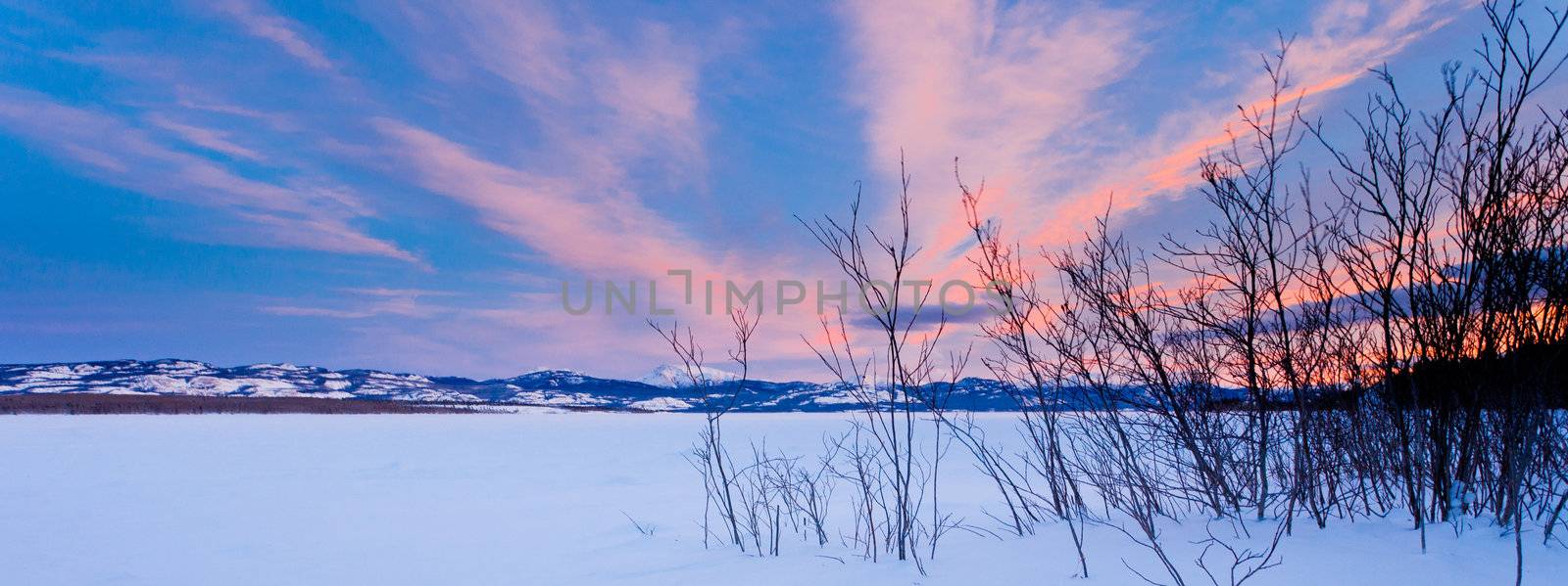 Beautiful winter wilderness landscape of frozen Lake Laberge Yukon Territory Canada