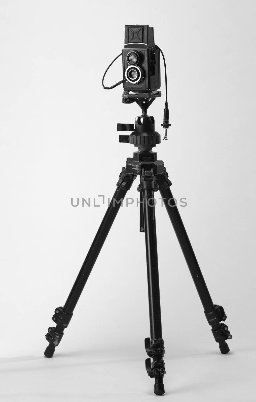 stock image of the camera mounting on the tripod