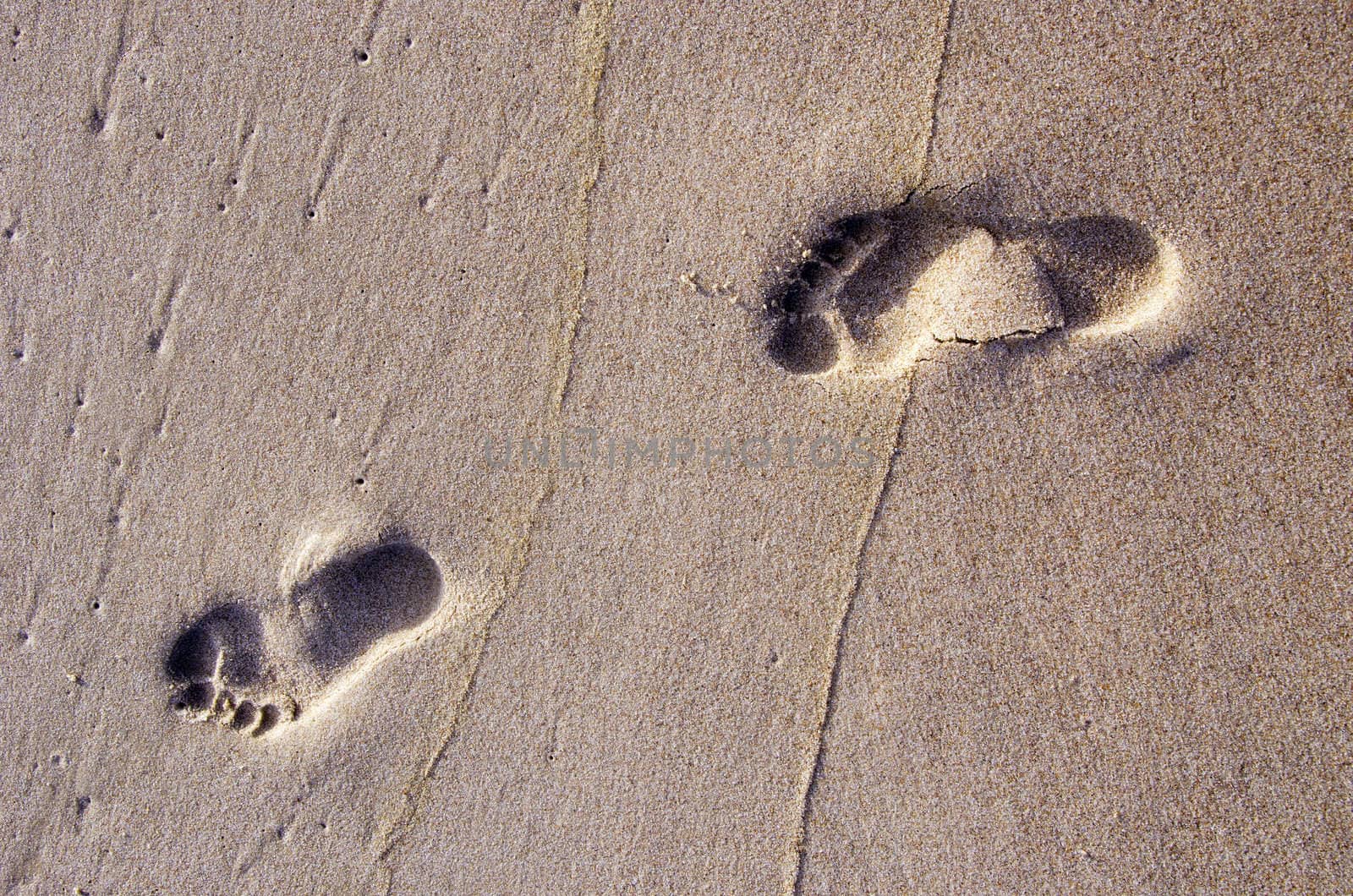 Bare human footprints in sea sand. Rest near sea. by sauletas