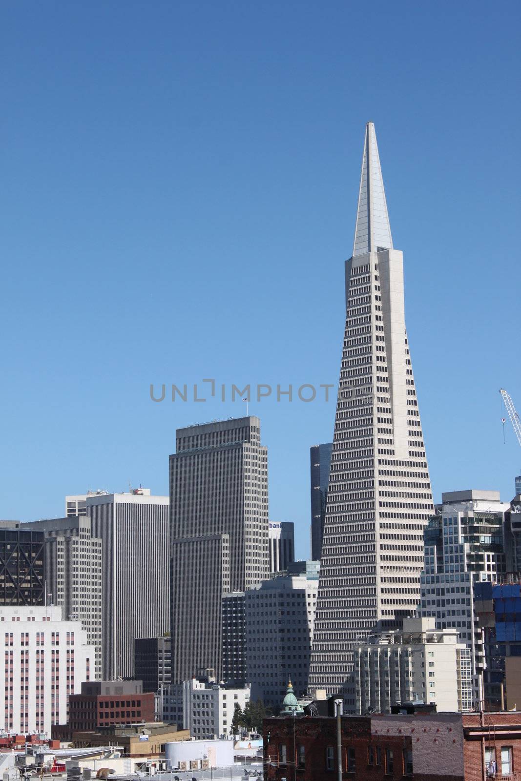 View of the Transamerica Pyramid Building in San Francisco