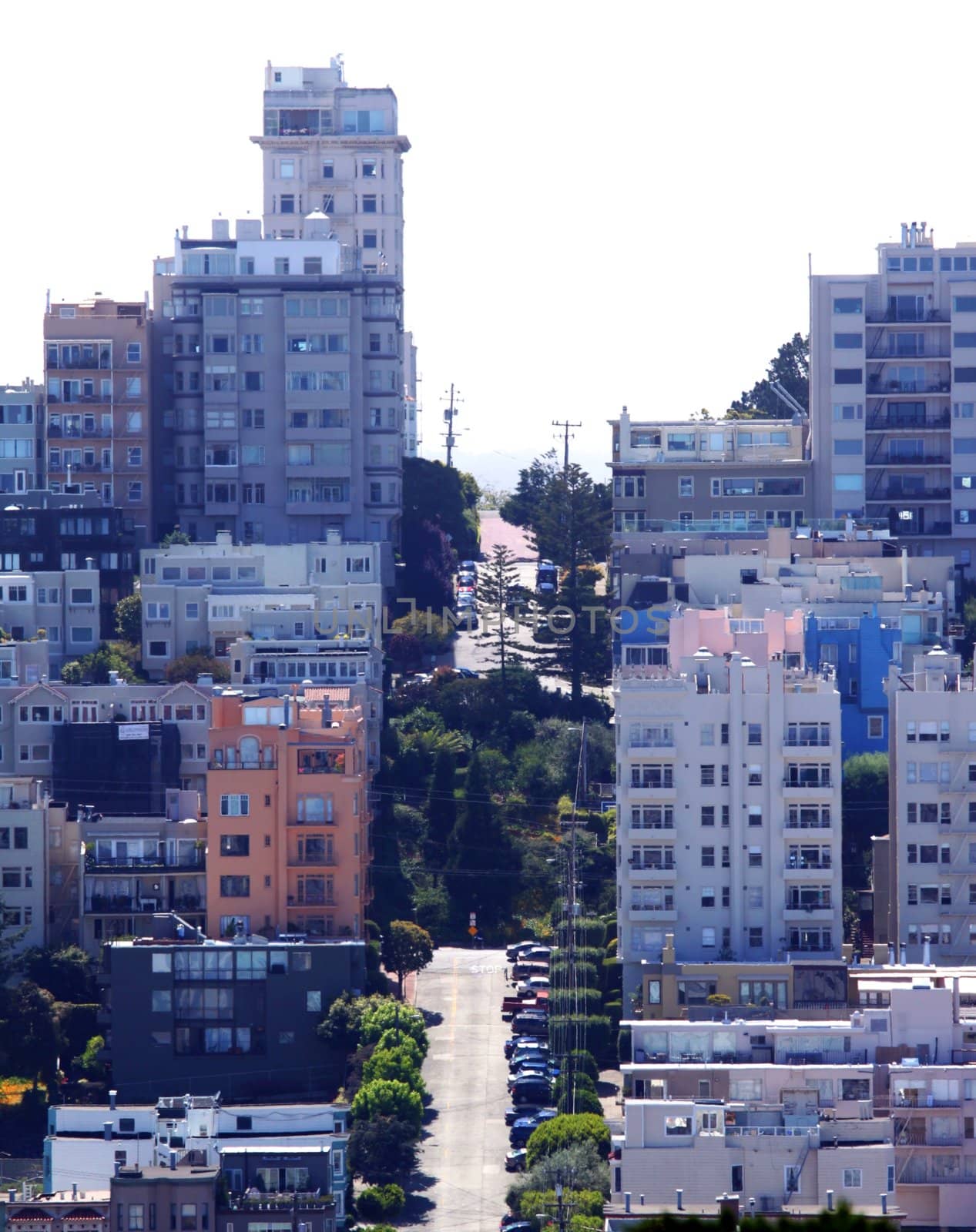 View from the coit tower of urban house area in San Francisco, California.