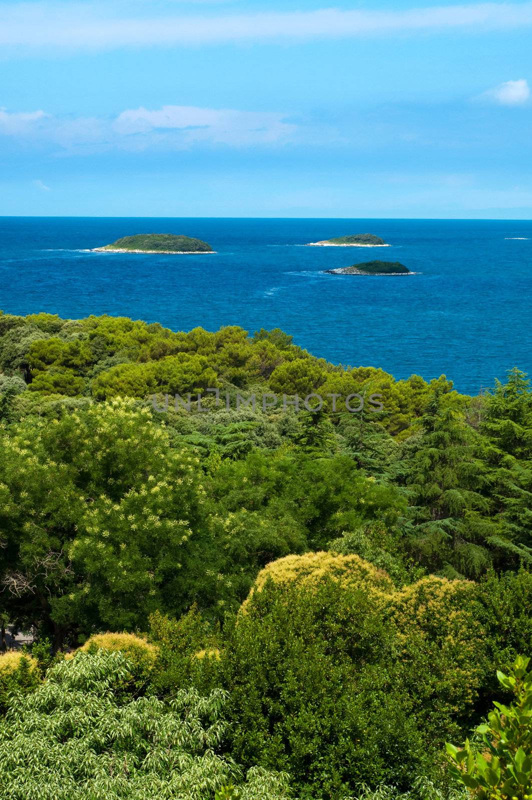 Vegetation Mediterranean sea and three islands at Vrsar - Croatia