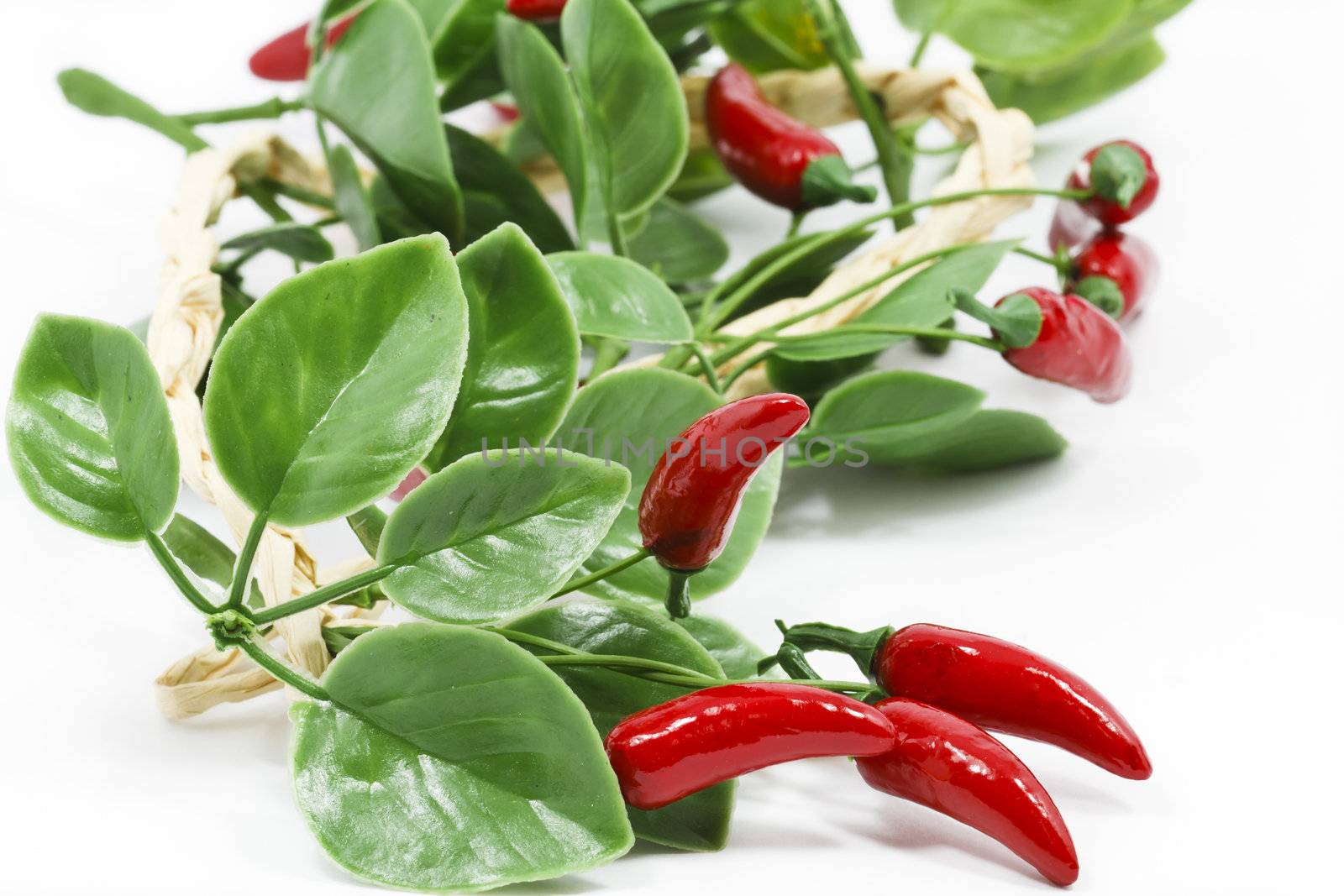 Red chilli peppers on white background