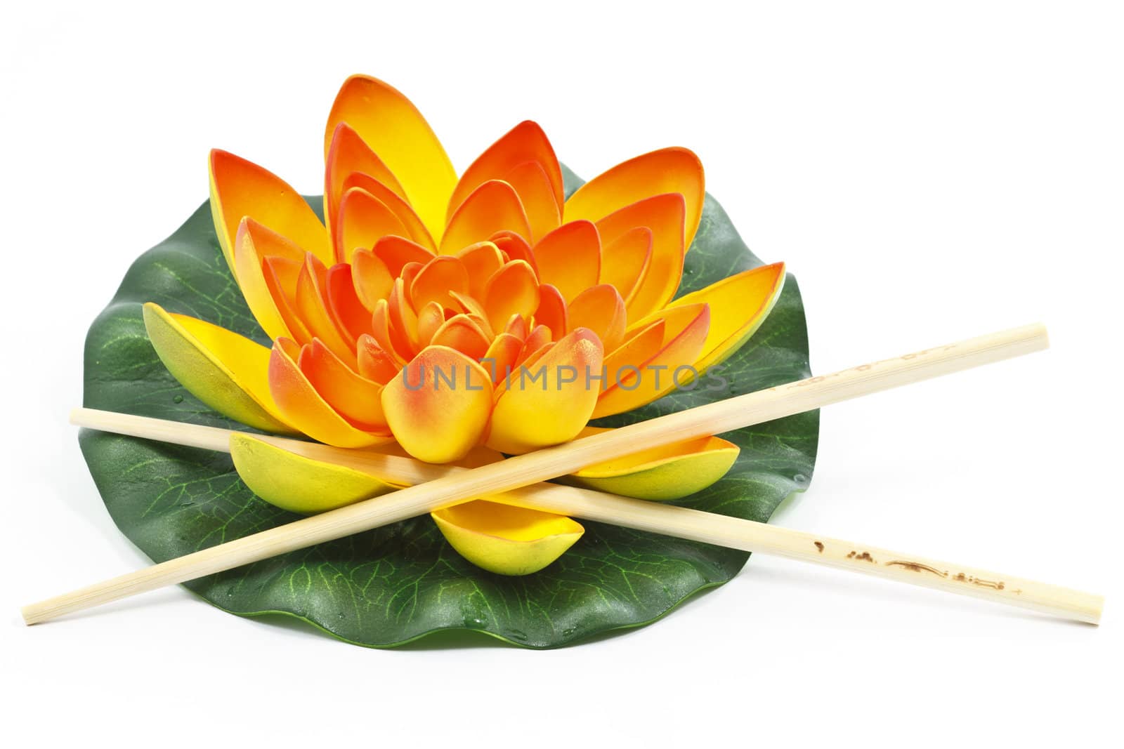 Oriental Water Lily flower with Chinese Chopsticks