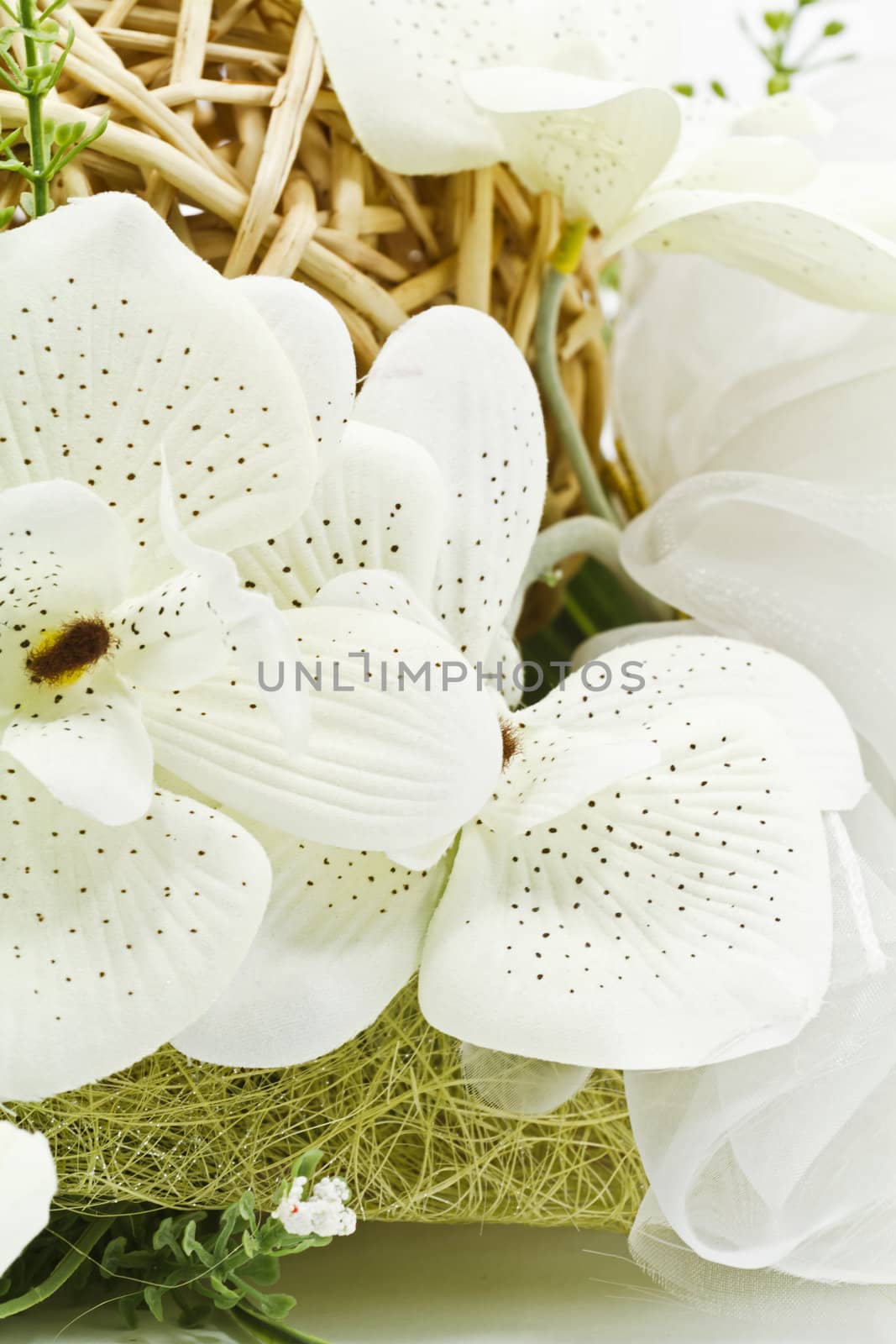 Flower decoration arrangement isolated on white background