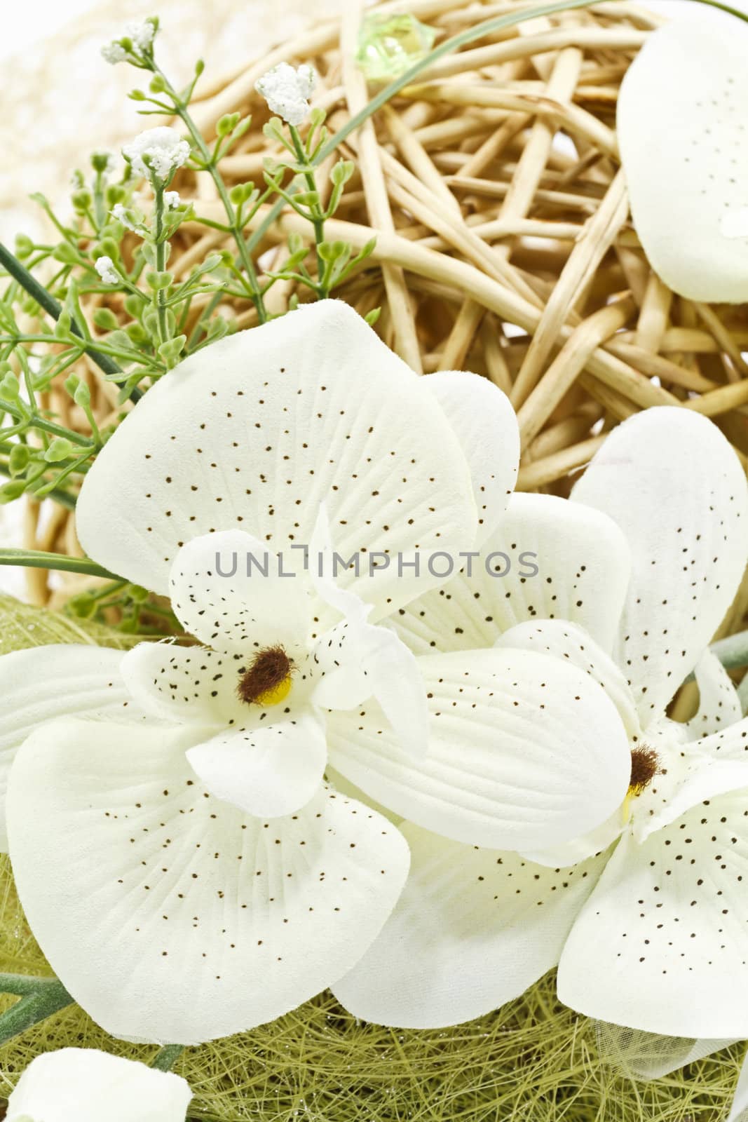 Flower decoration by Nikolaniko