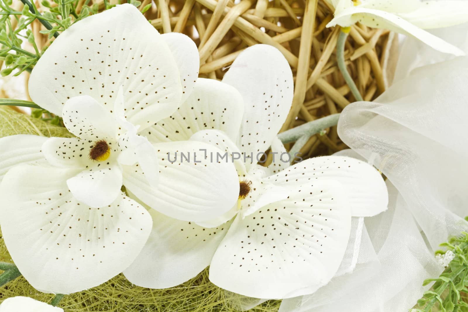 Flower decoration arrangement isolated on white background