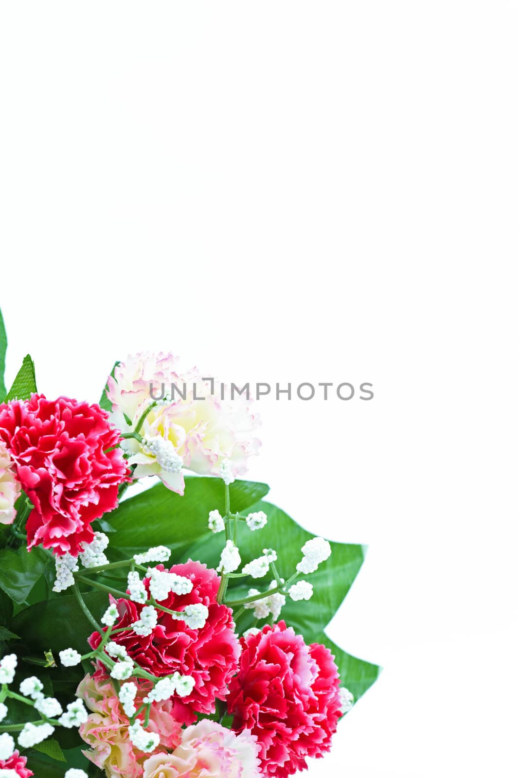 Close-up of a bridal bouquet isolated on white background