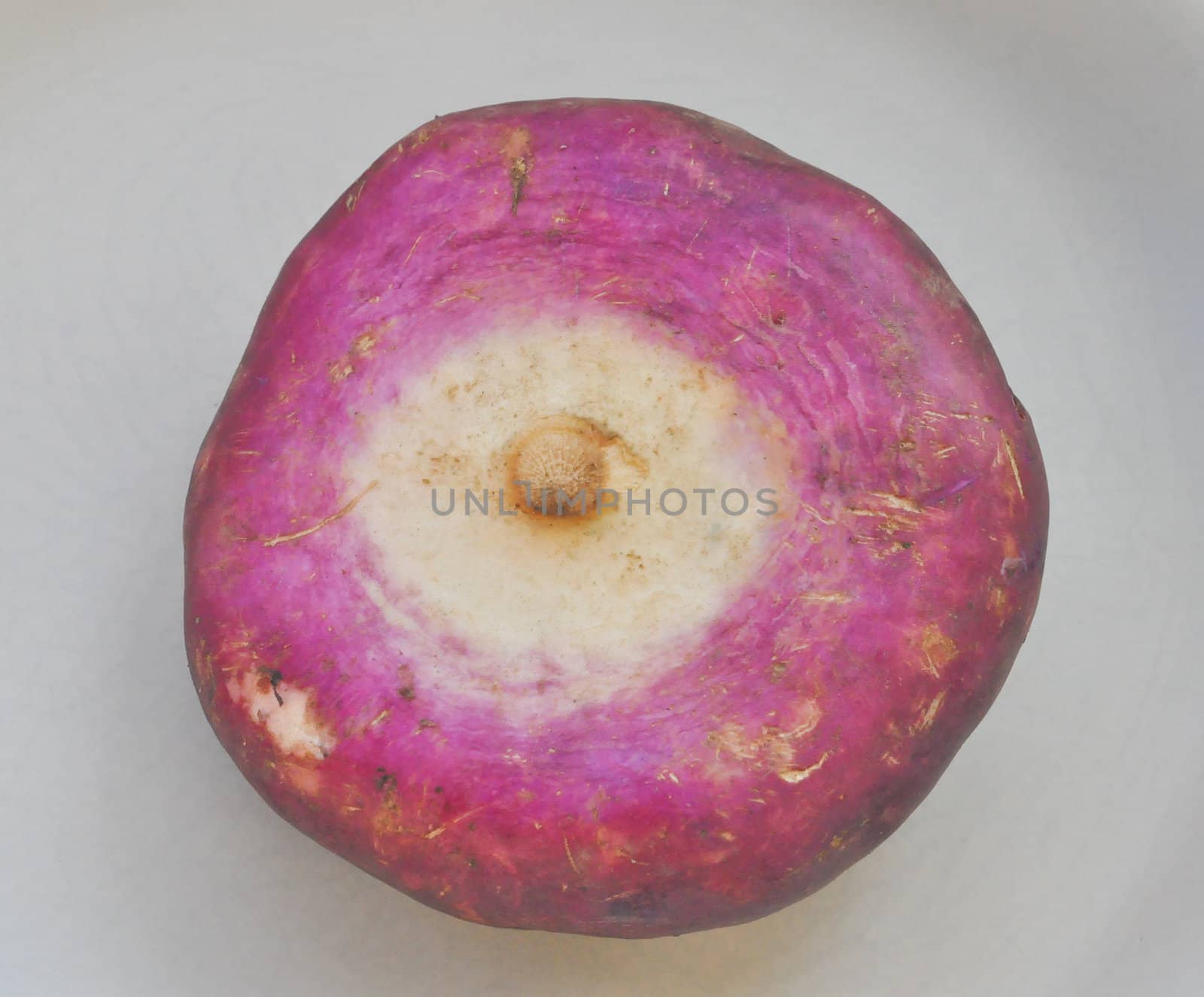 Beetroot vegetable aka the table beet, garden beet, red beet