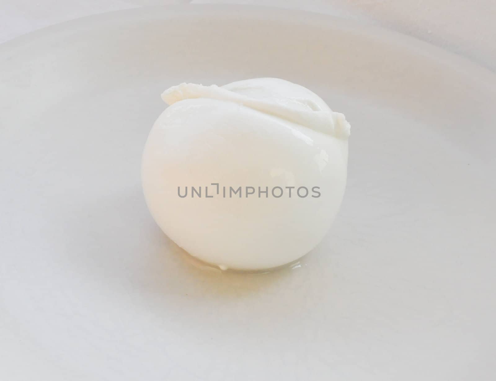 Traditional Italian mozzarella di bufala (buffalo mozzarella) cheese made from buffalo milk