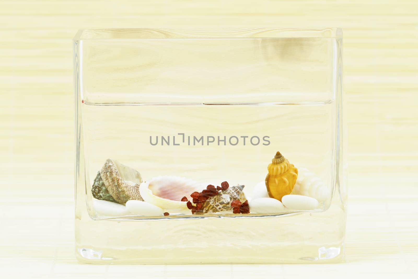 Squared decorative vase as a table decoration with shells and pebbles