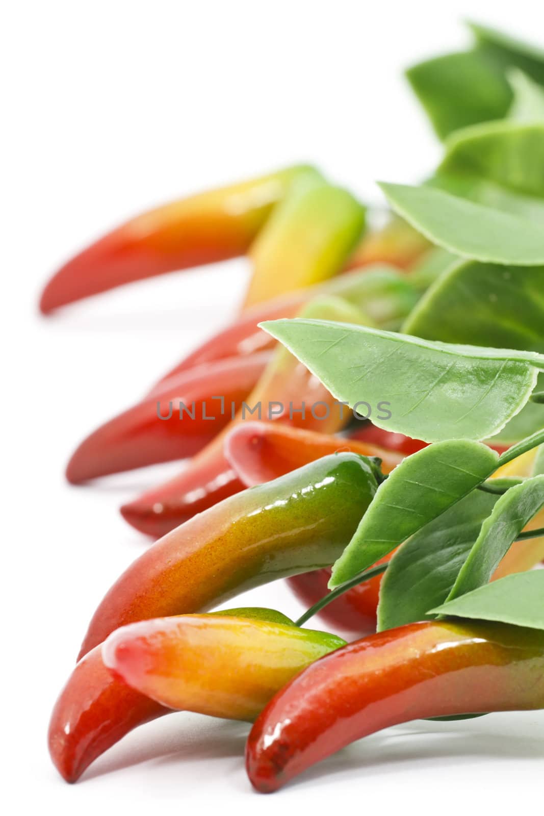 Chilli peppers on white background