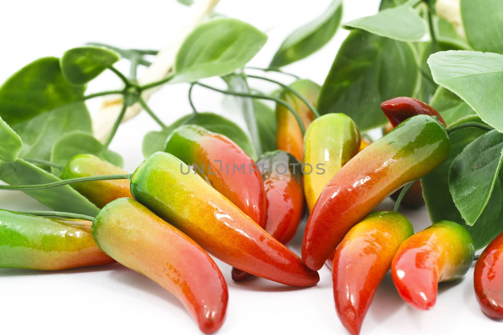 Chilli peppers by Nikolaniko