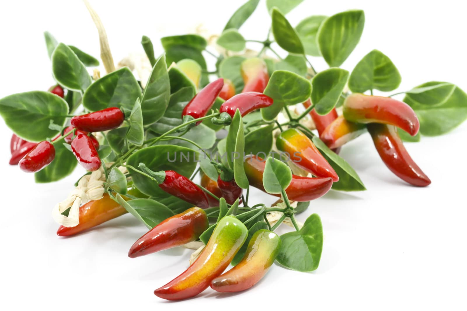 Chilli peppers on white background