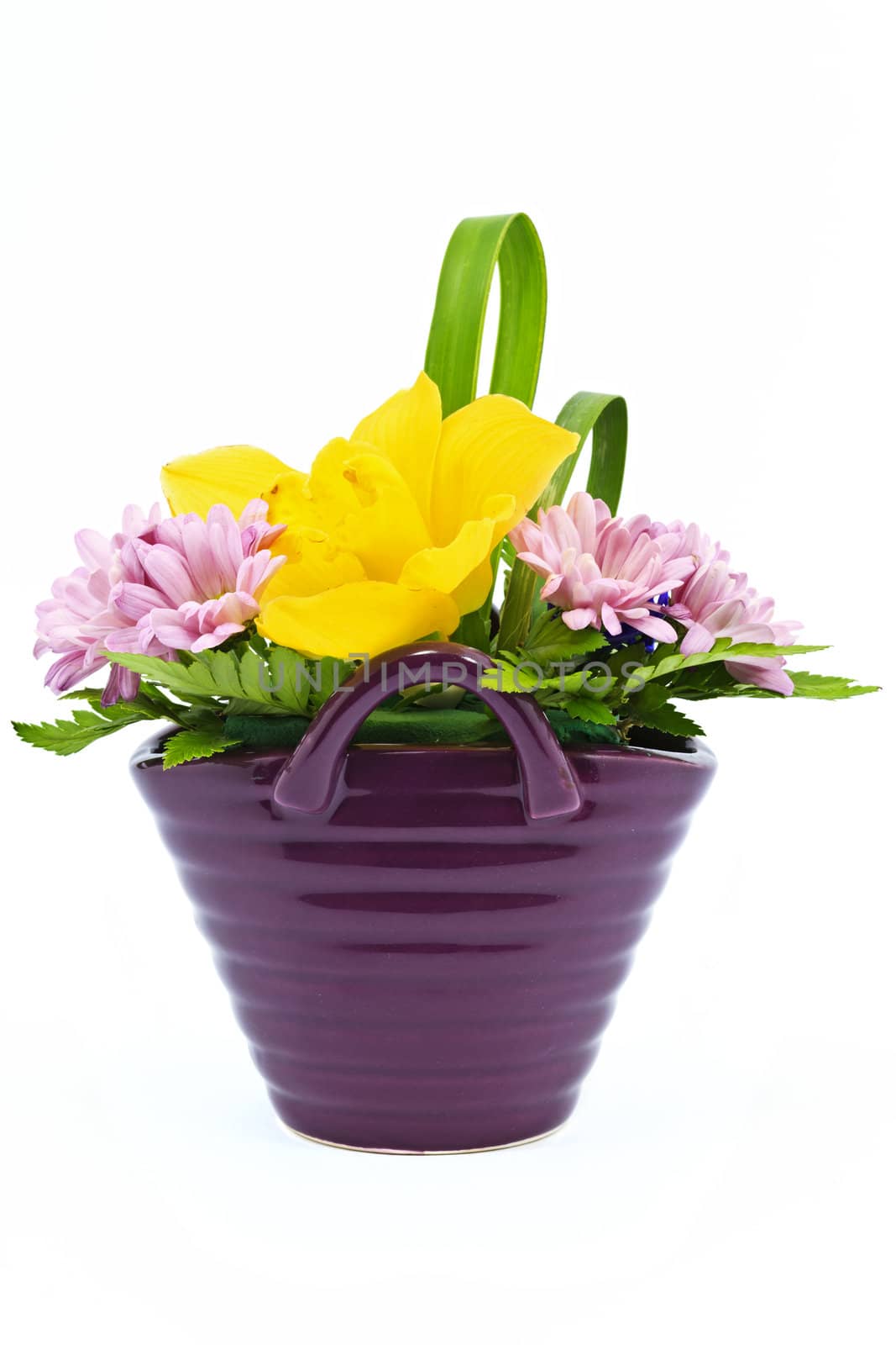 Flower arrangement in a pot isolated on white background