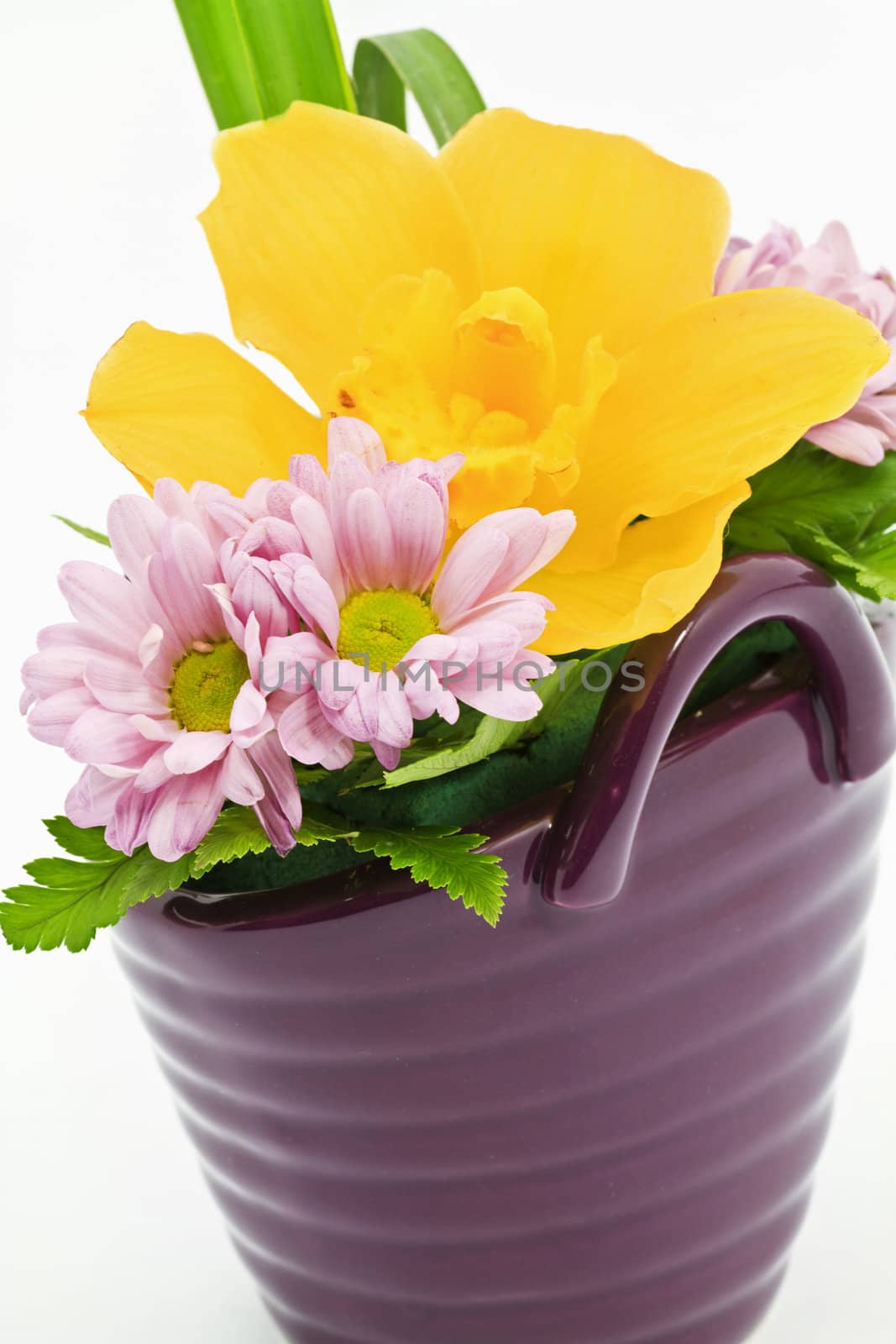 Flower arrangement in a pot isolated on white background