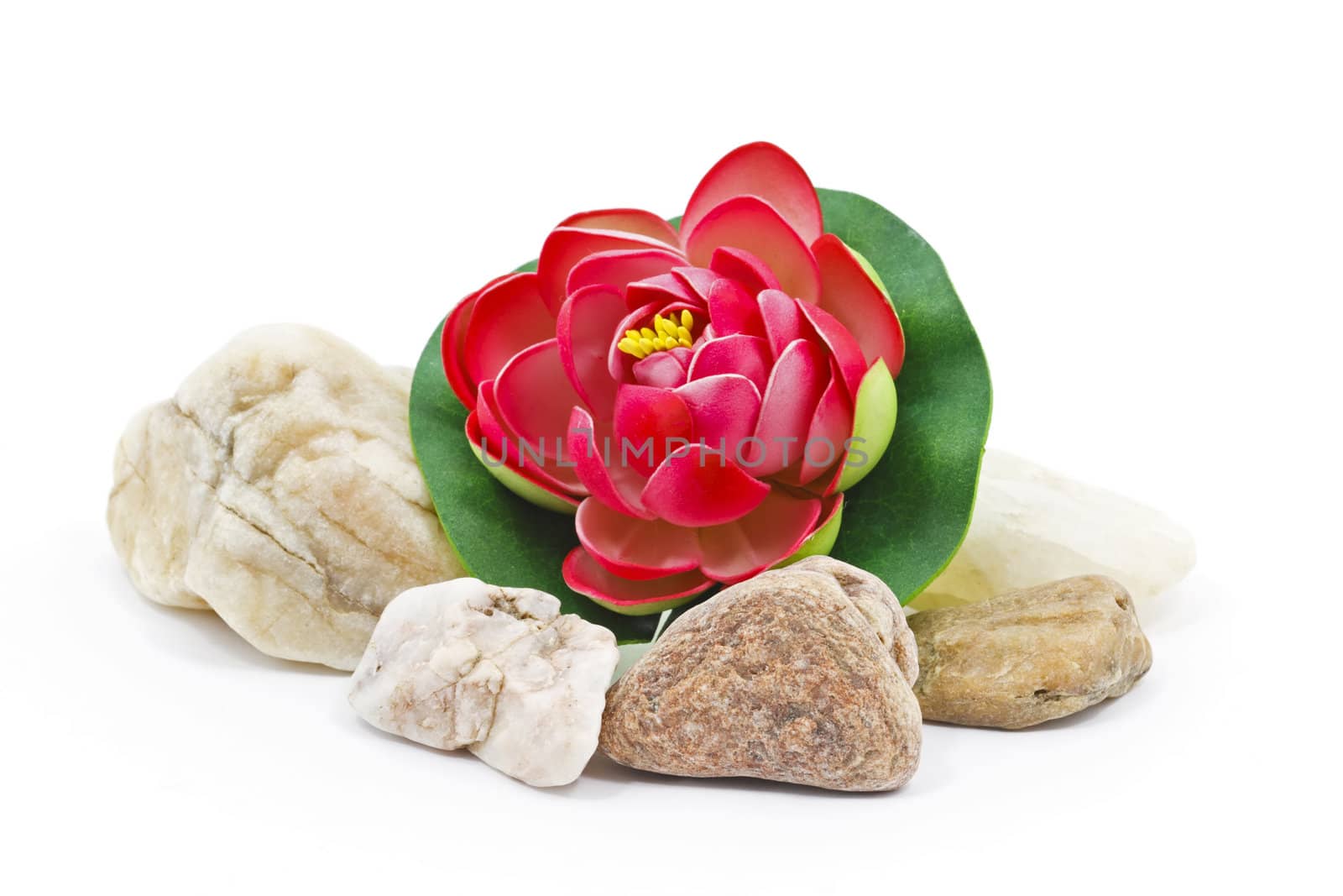 Red Water lily flower decoration with small river rocks