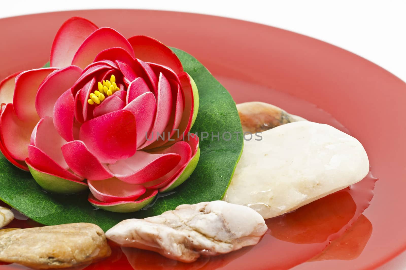 Red Water lily flower decoration with small river rocks